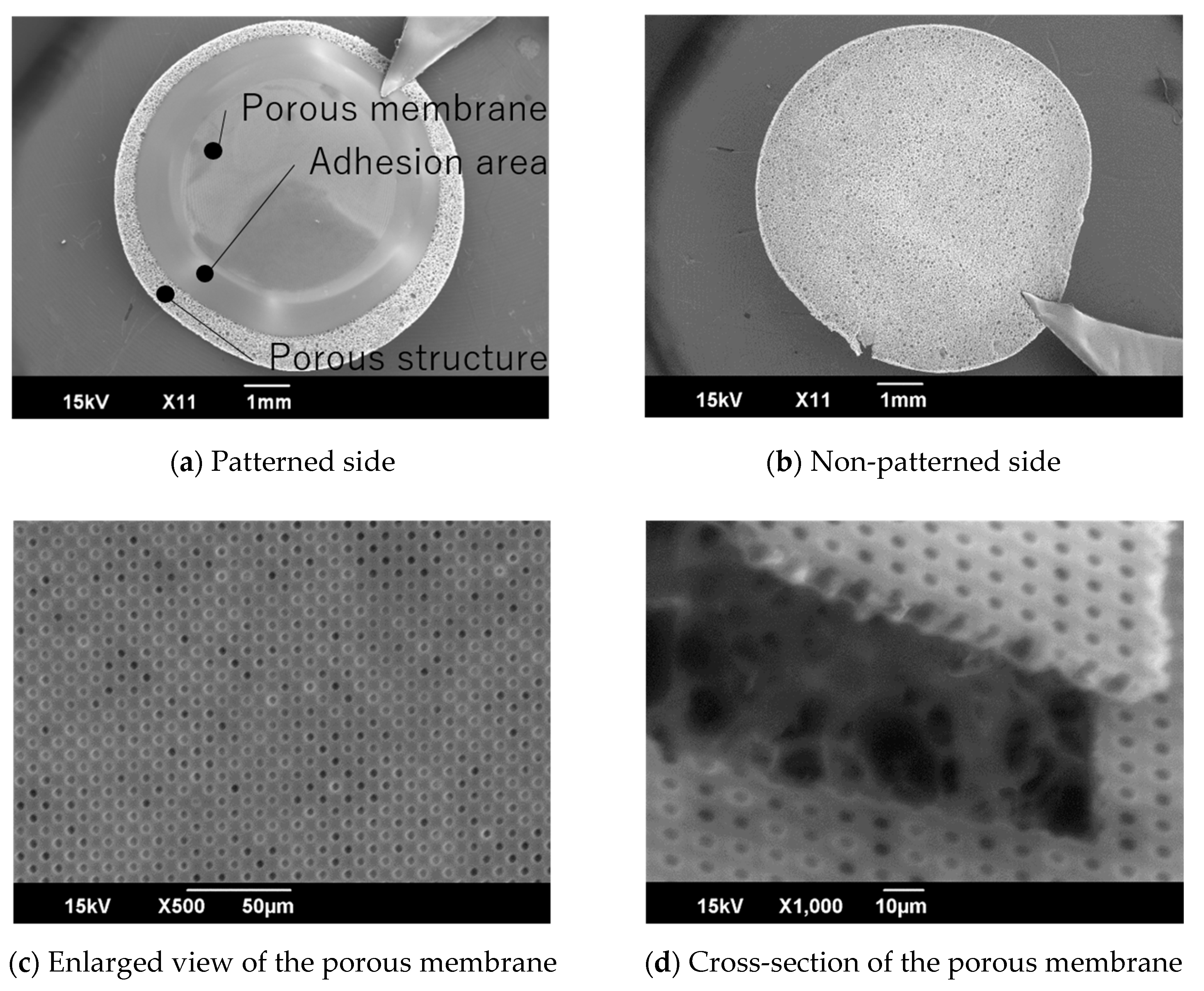 Micromachines 11 00054 g006 Micromachines 11 00054 g006