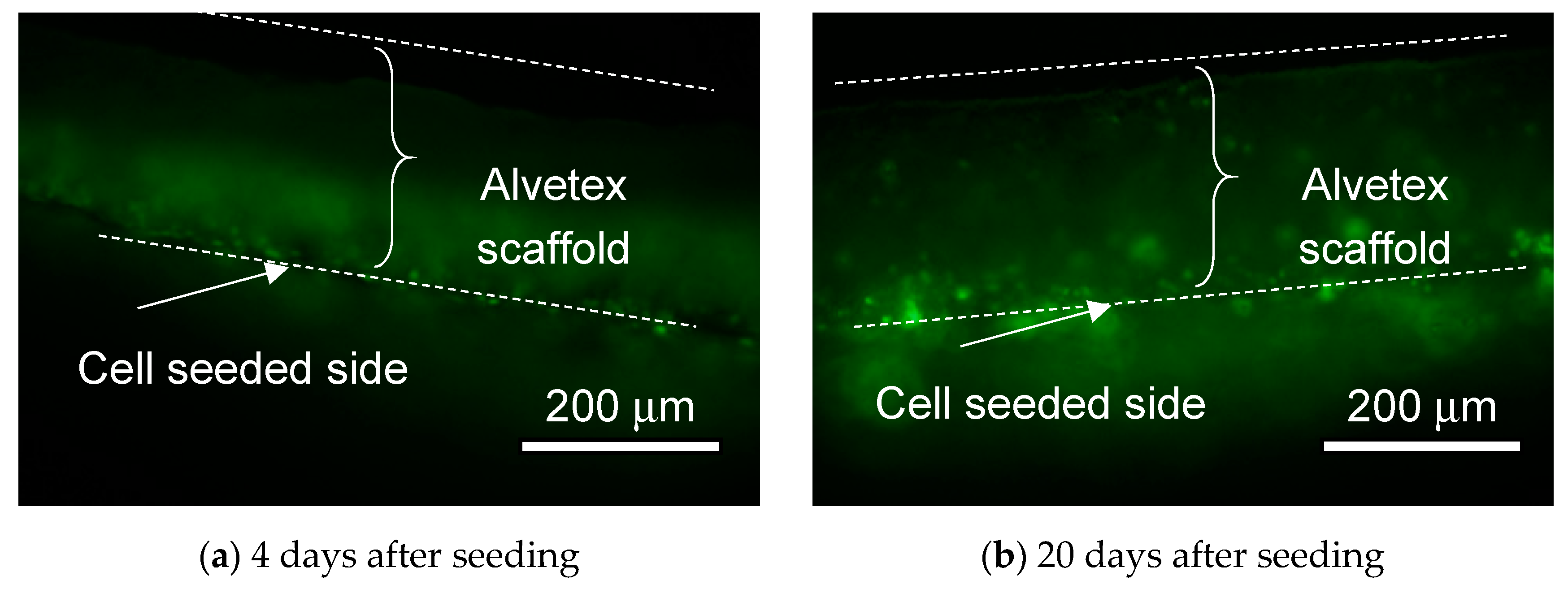 Micromachines 11 00054 g007 Micromachines 11 00054 g007