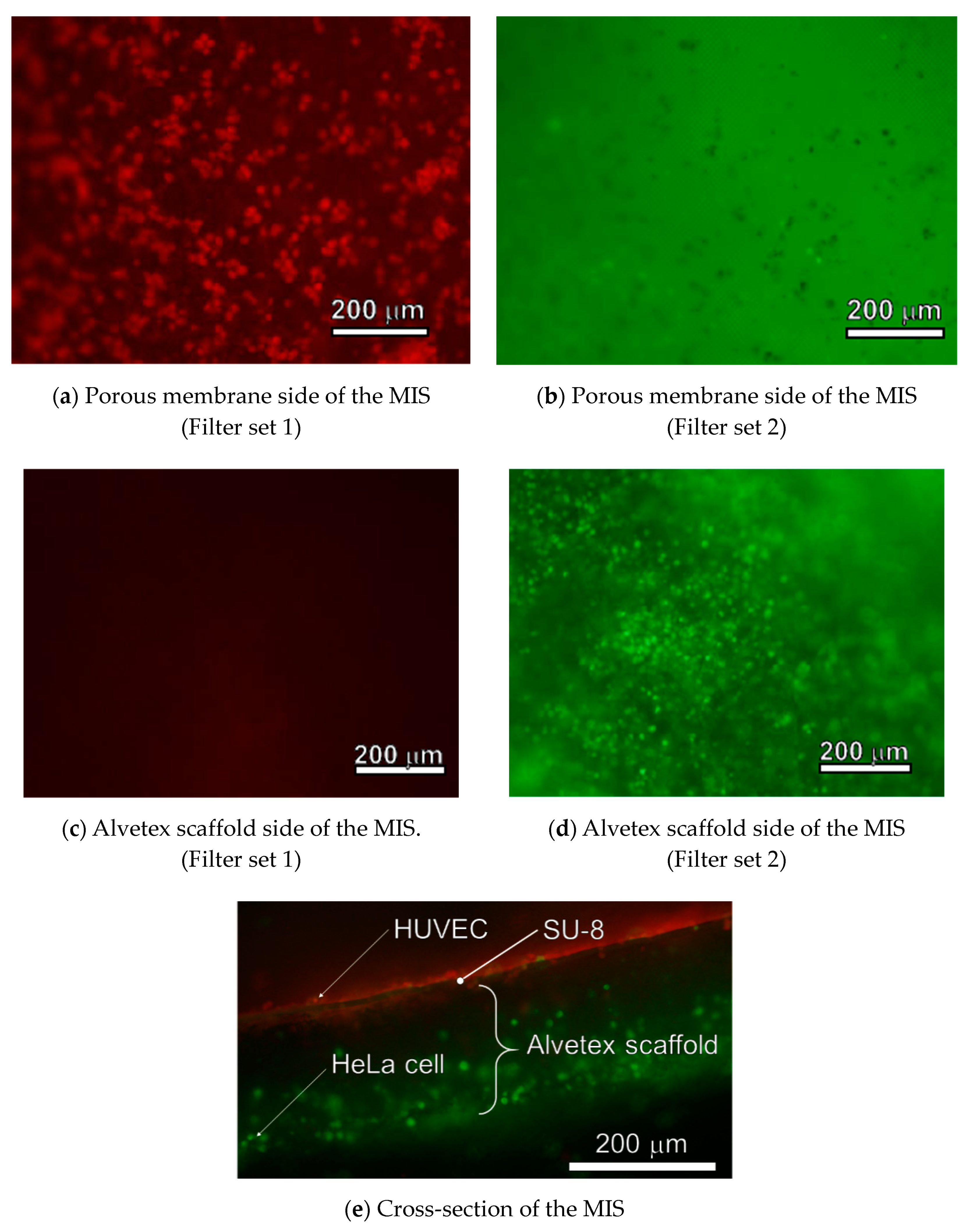 Micromachines 11 00054 g008 Micromachines 11 00054 g008