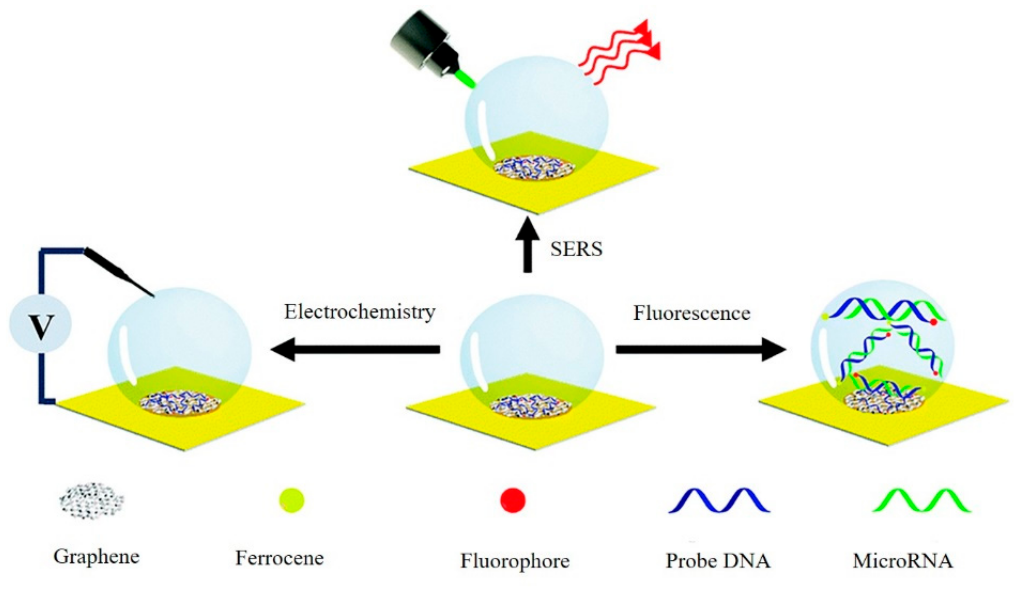 Micromachines 11 00060 g016