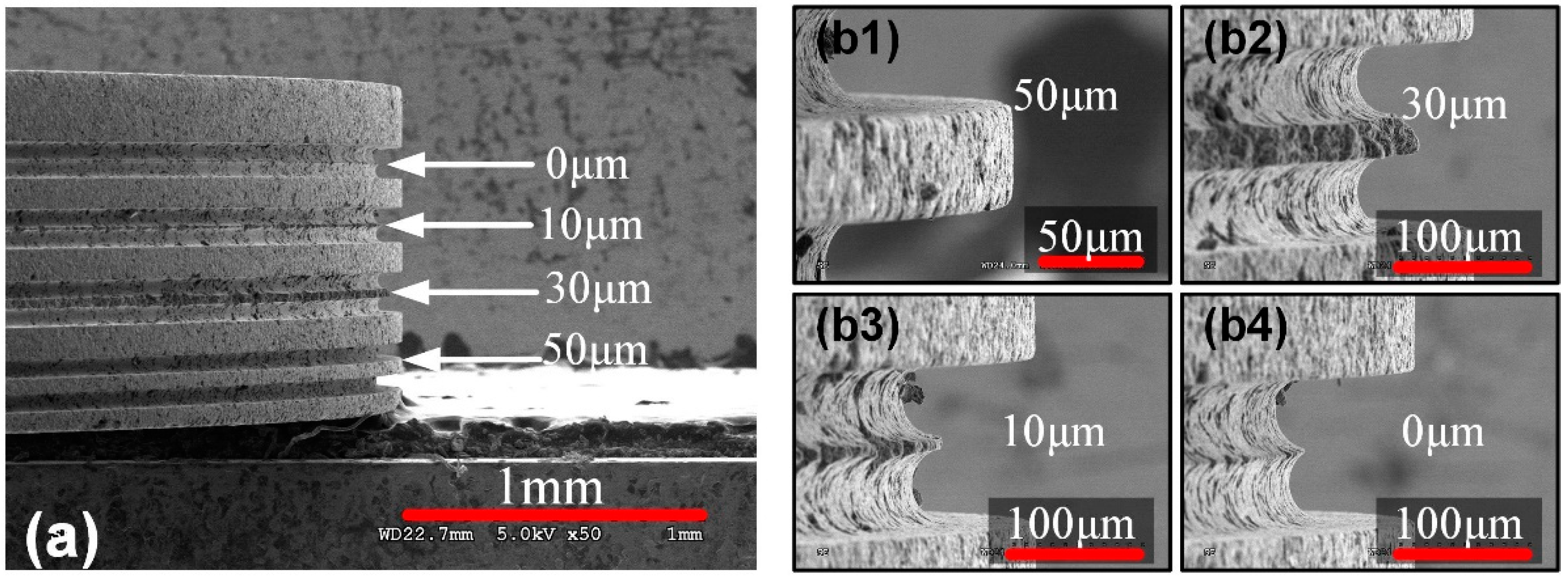 Micromachines 11 00066 g004 Micromachines 11 00066 g004