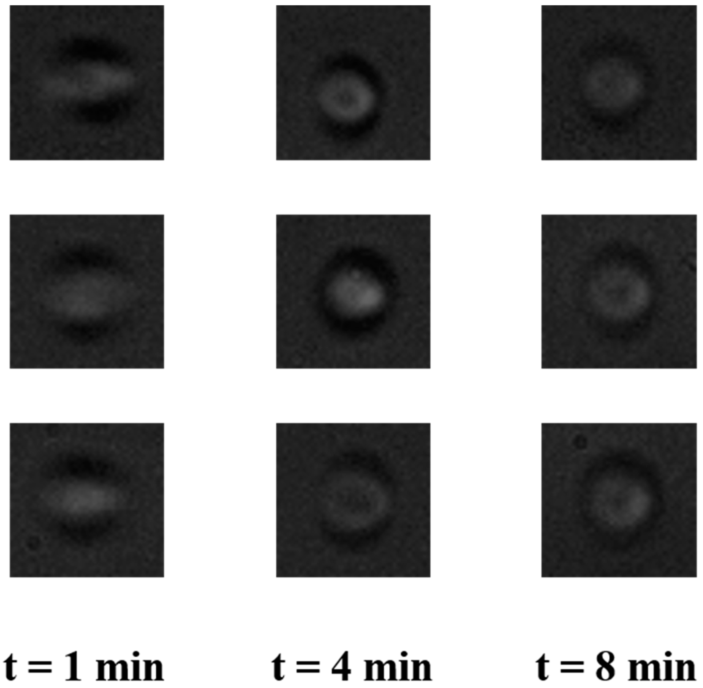Micromachines 11 00067 g006