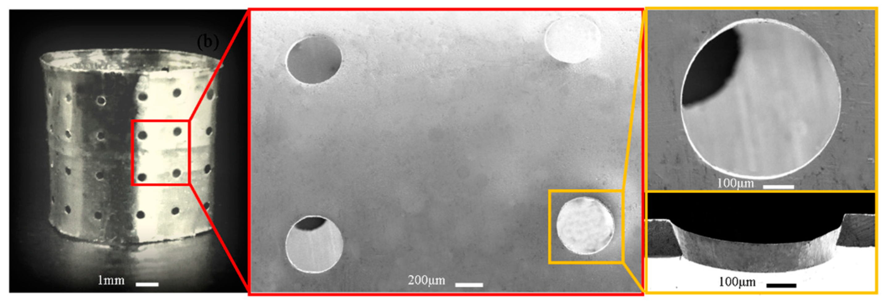 Micromachines 11 00070 g011