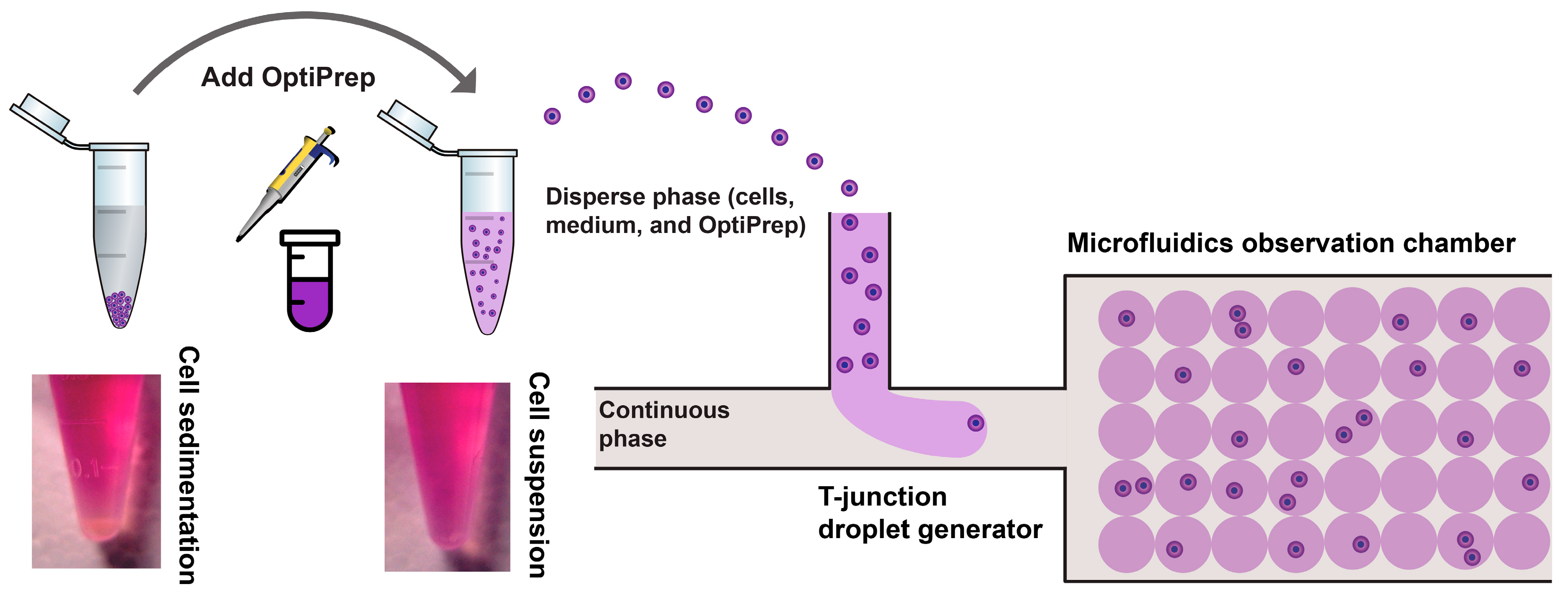 Micromachines 11 00094 g001