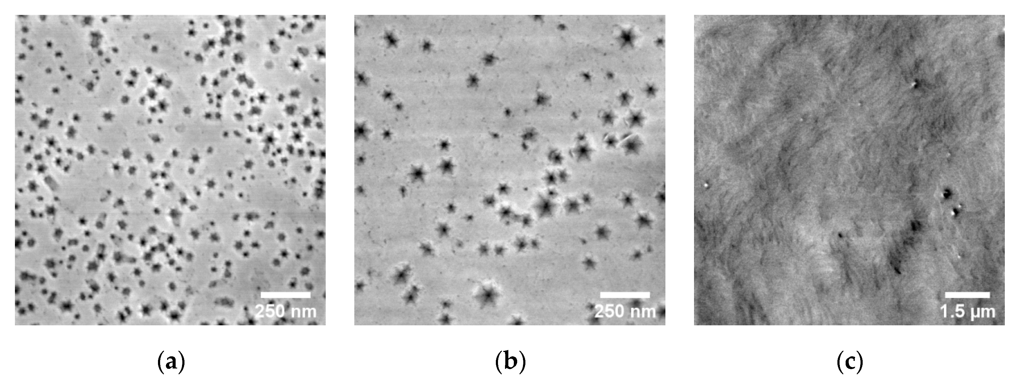 Micromachines 11 00101 g003 Micromachines 11 00101 g003