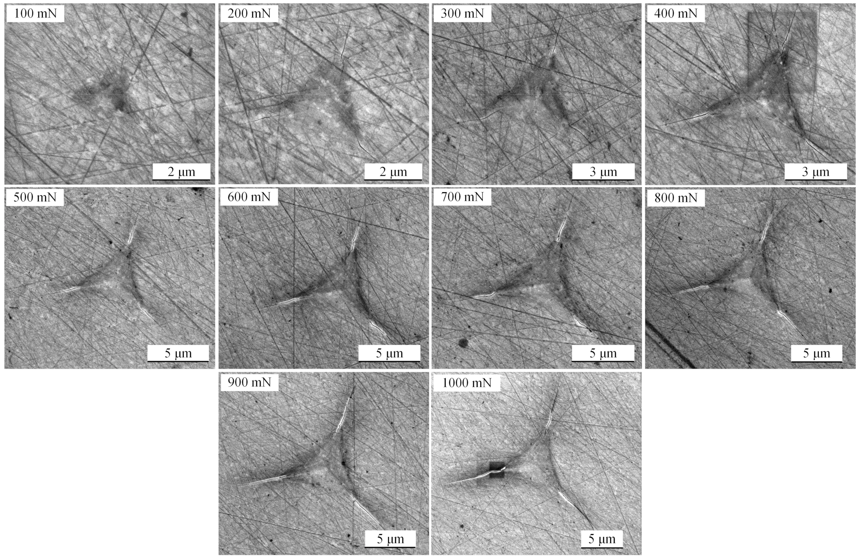 Micromachines 11 00102 g008