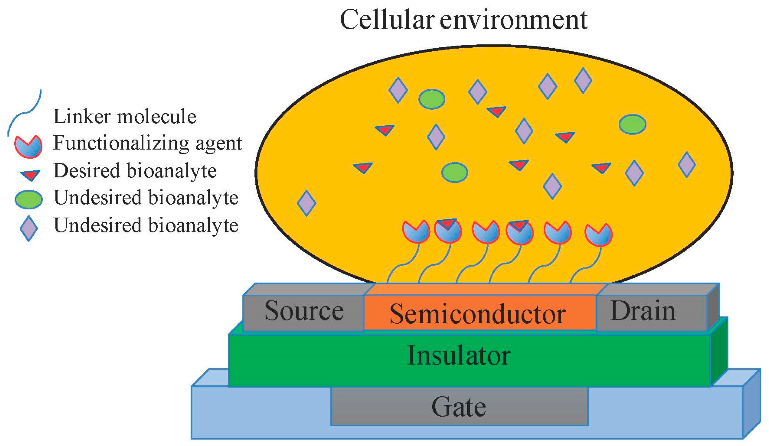 Micromachines 11 00105 g001