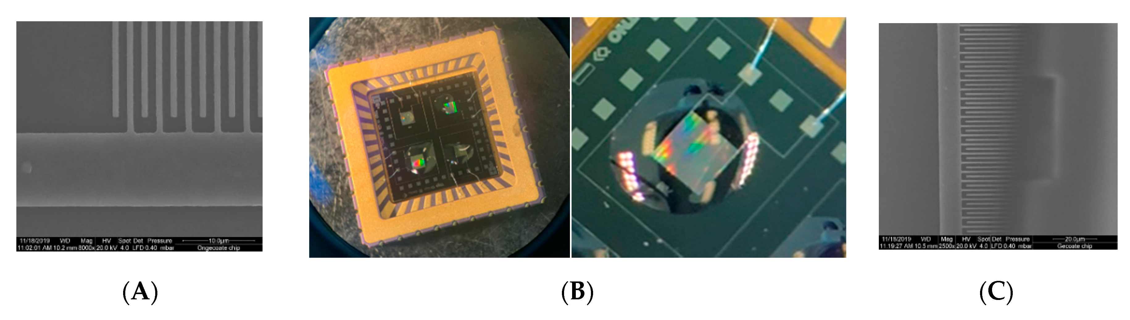 Micromachines 11 00116 g002
