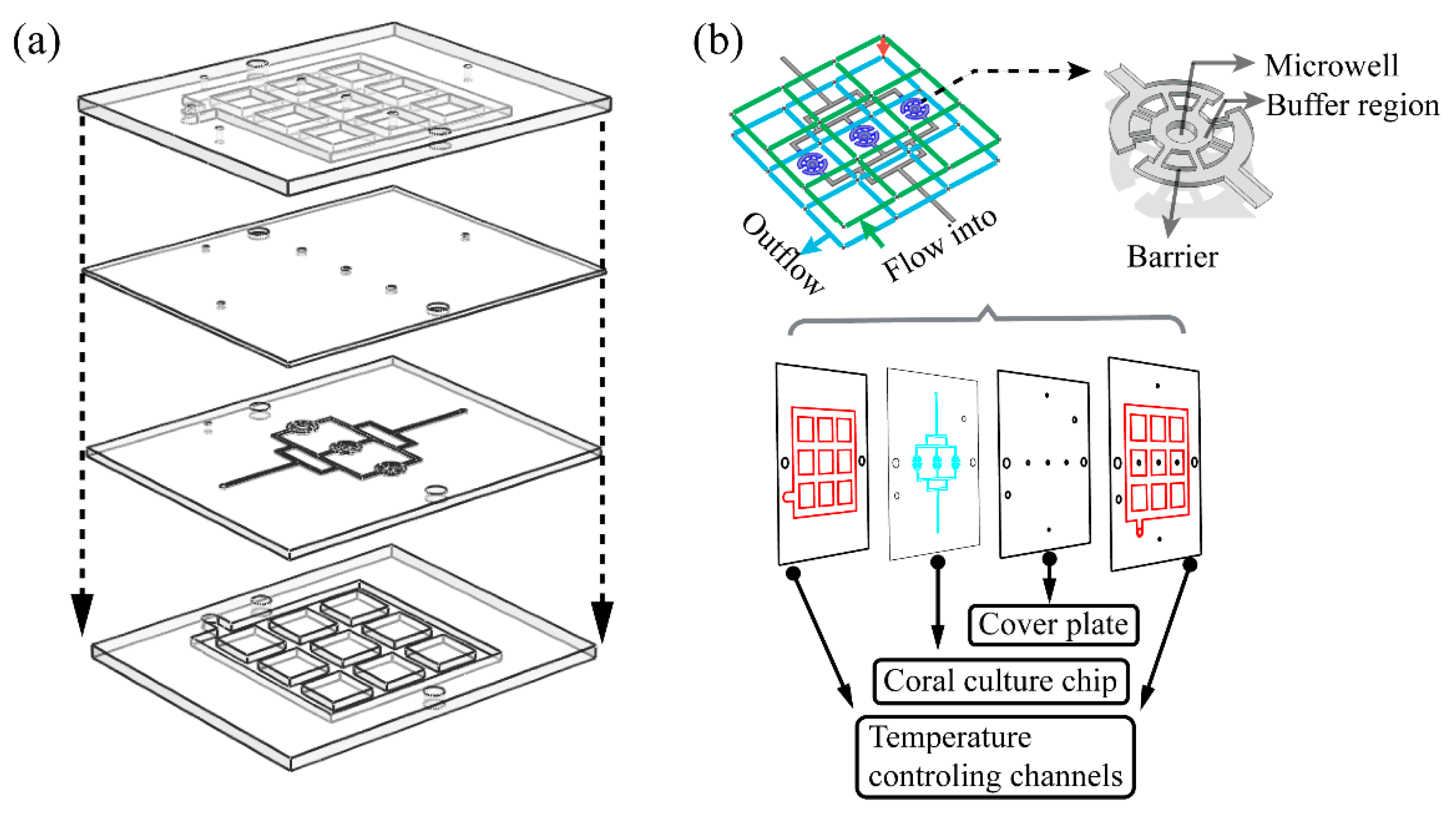 Micromachines 11 00127 g001