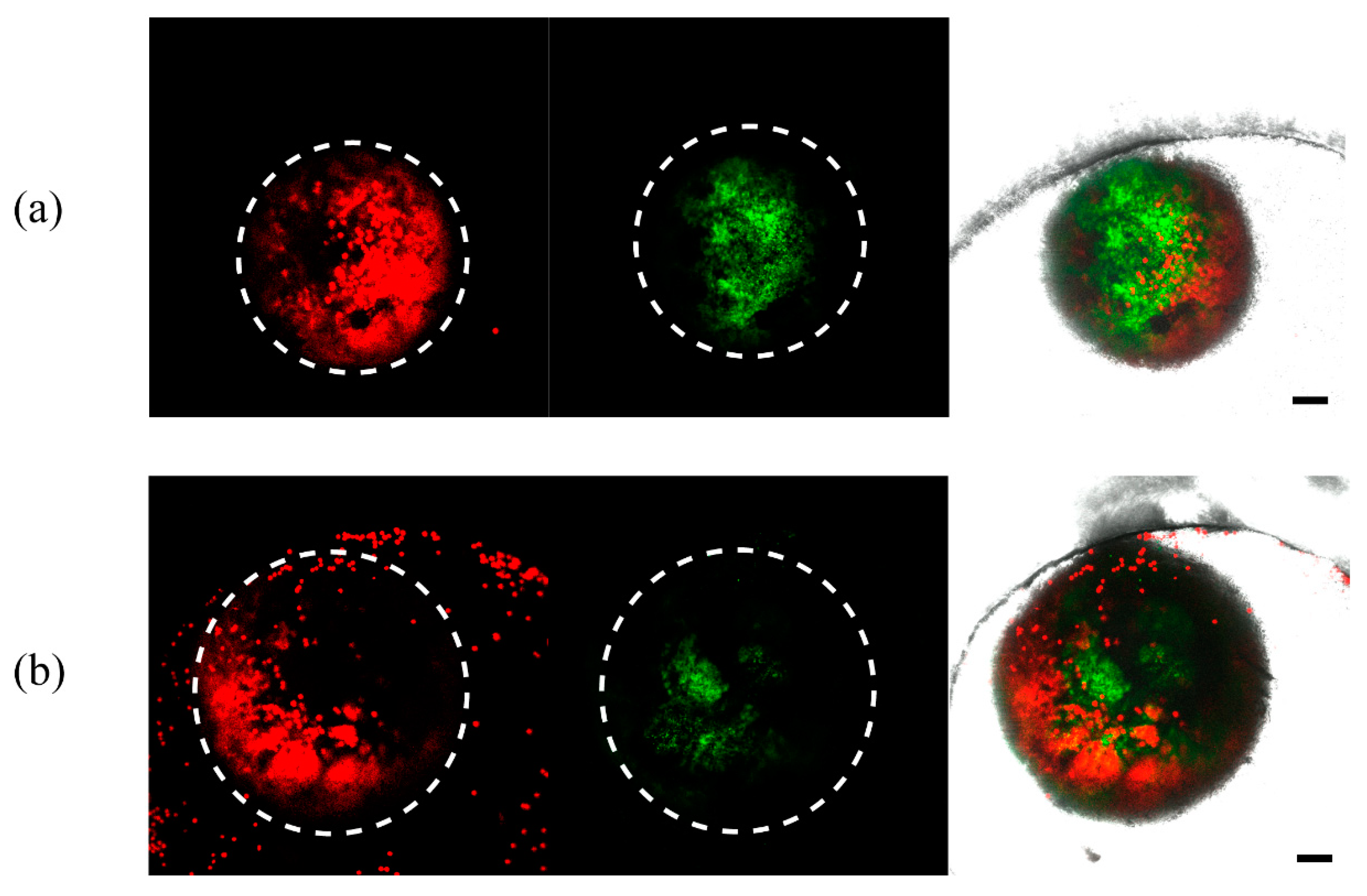 Micromachines 11 00127 g006