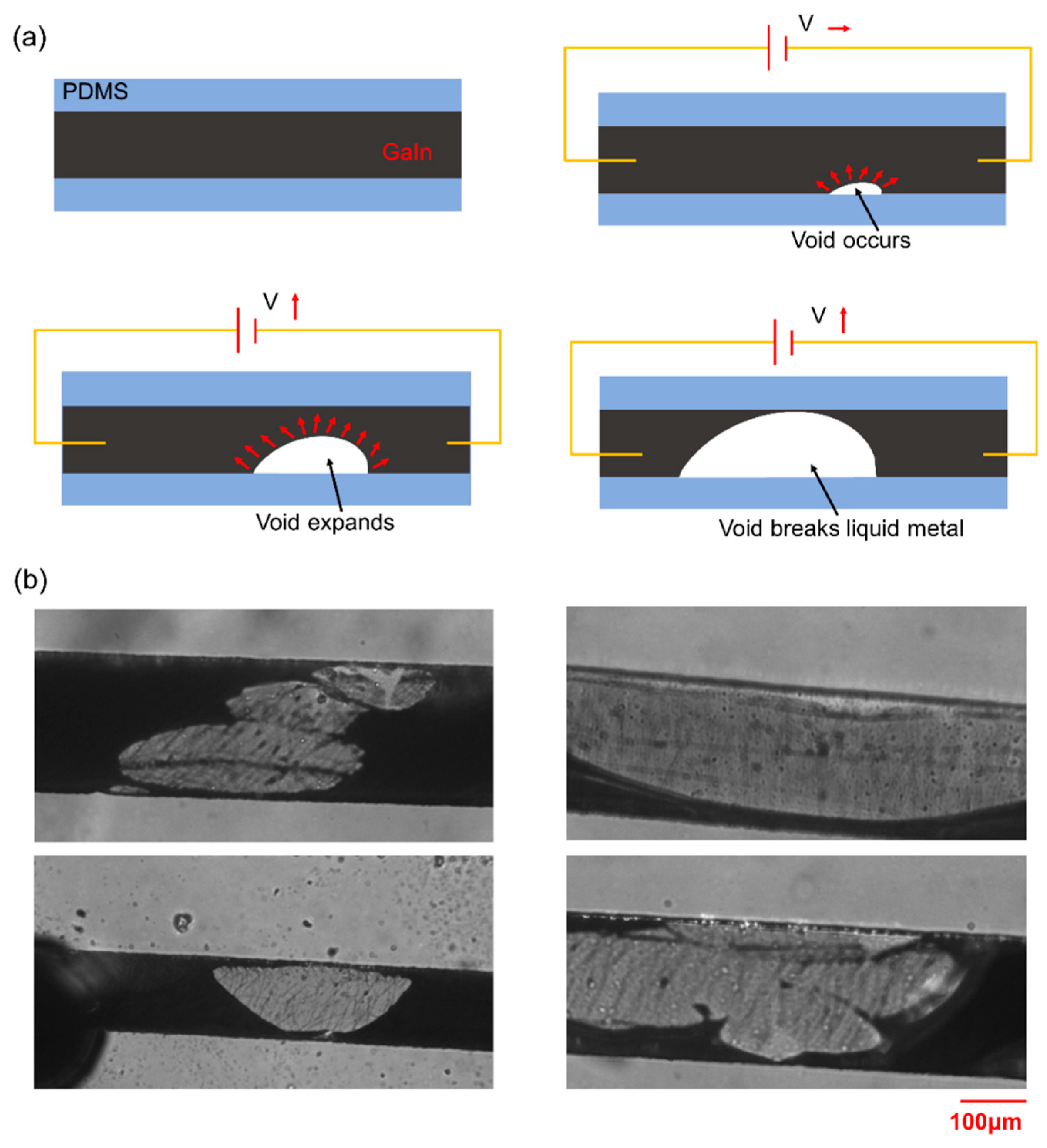 Micromachines 11 00133 g004 Micromachines 11 00133 g004