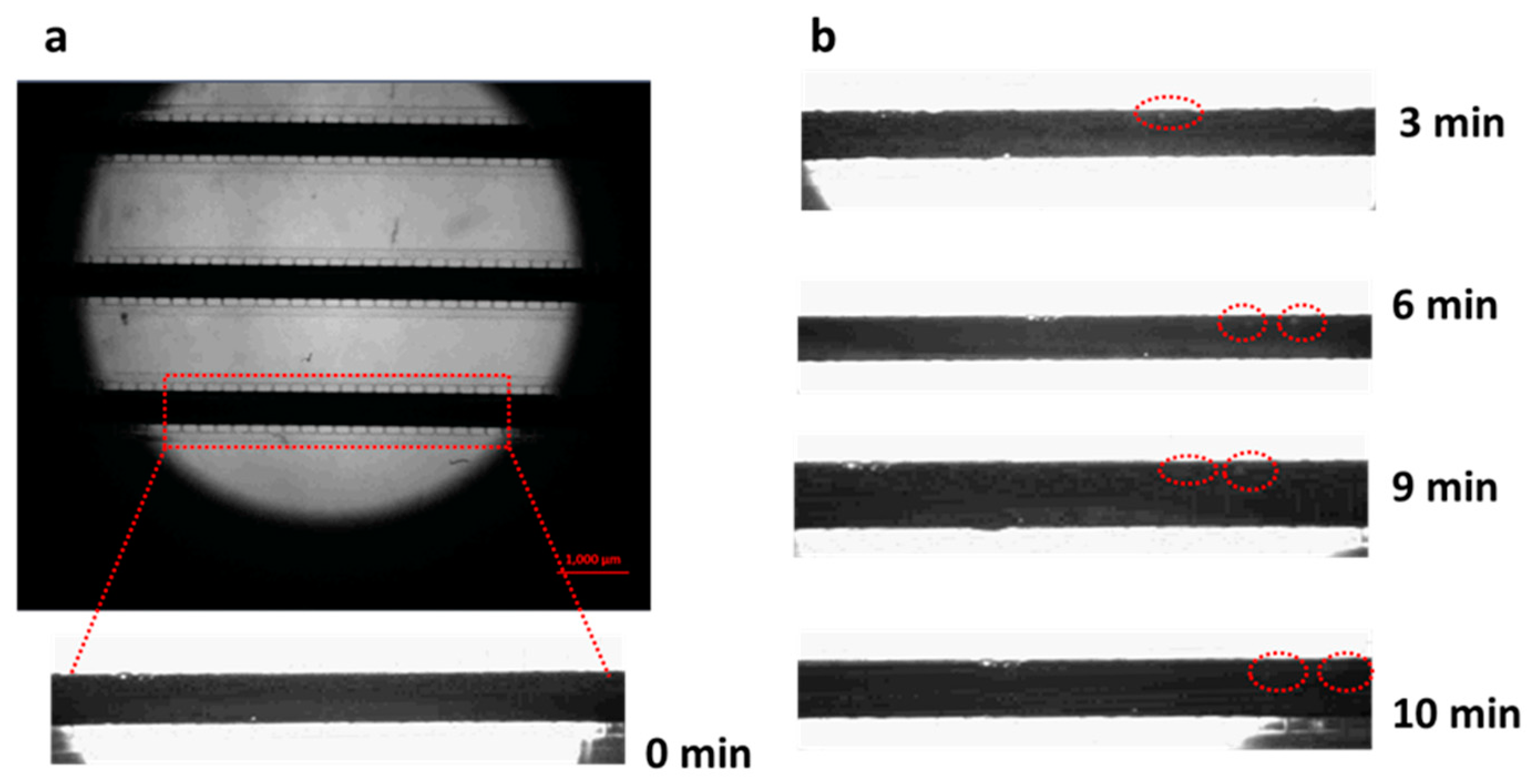 Micromachines 11 00133 g005 Micromachines 11 00133 g005