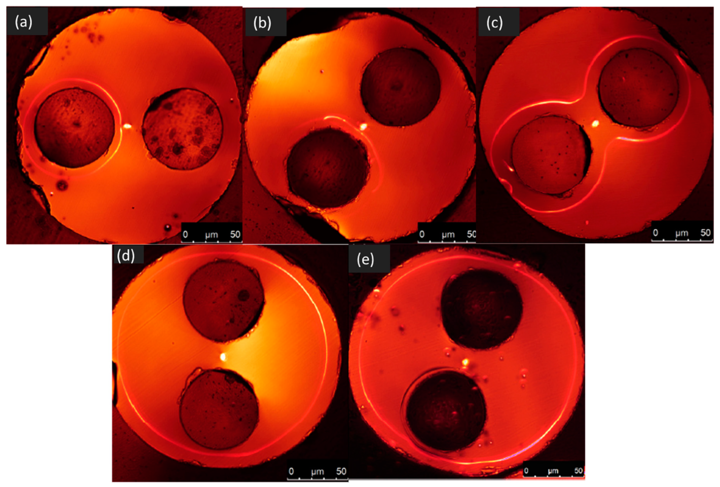 Micromachines 11 00139 g001 Micromachines 11 00139 g001