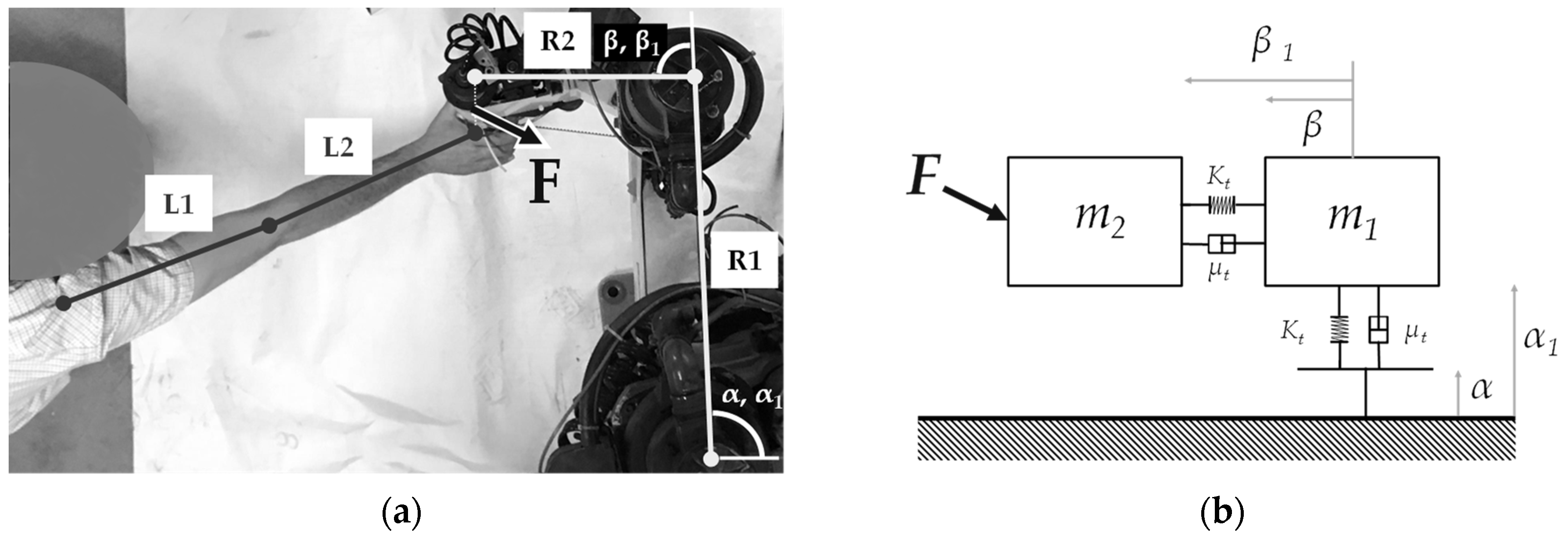 Micromachines 11 00141 g002