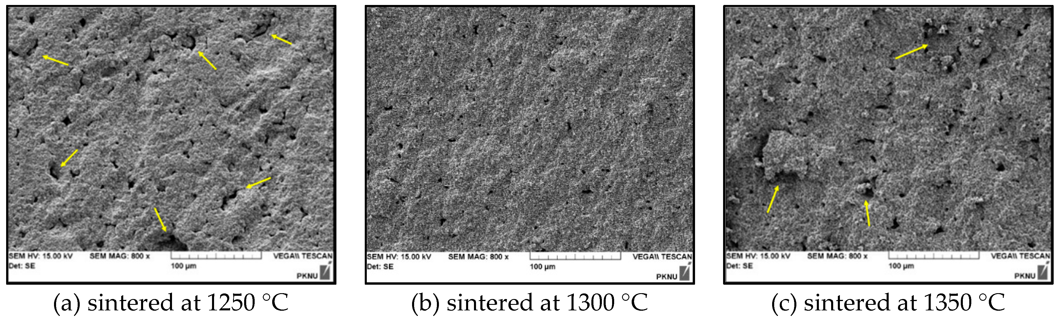 Micromachines 11 00144 g006 550
