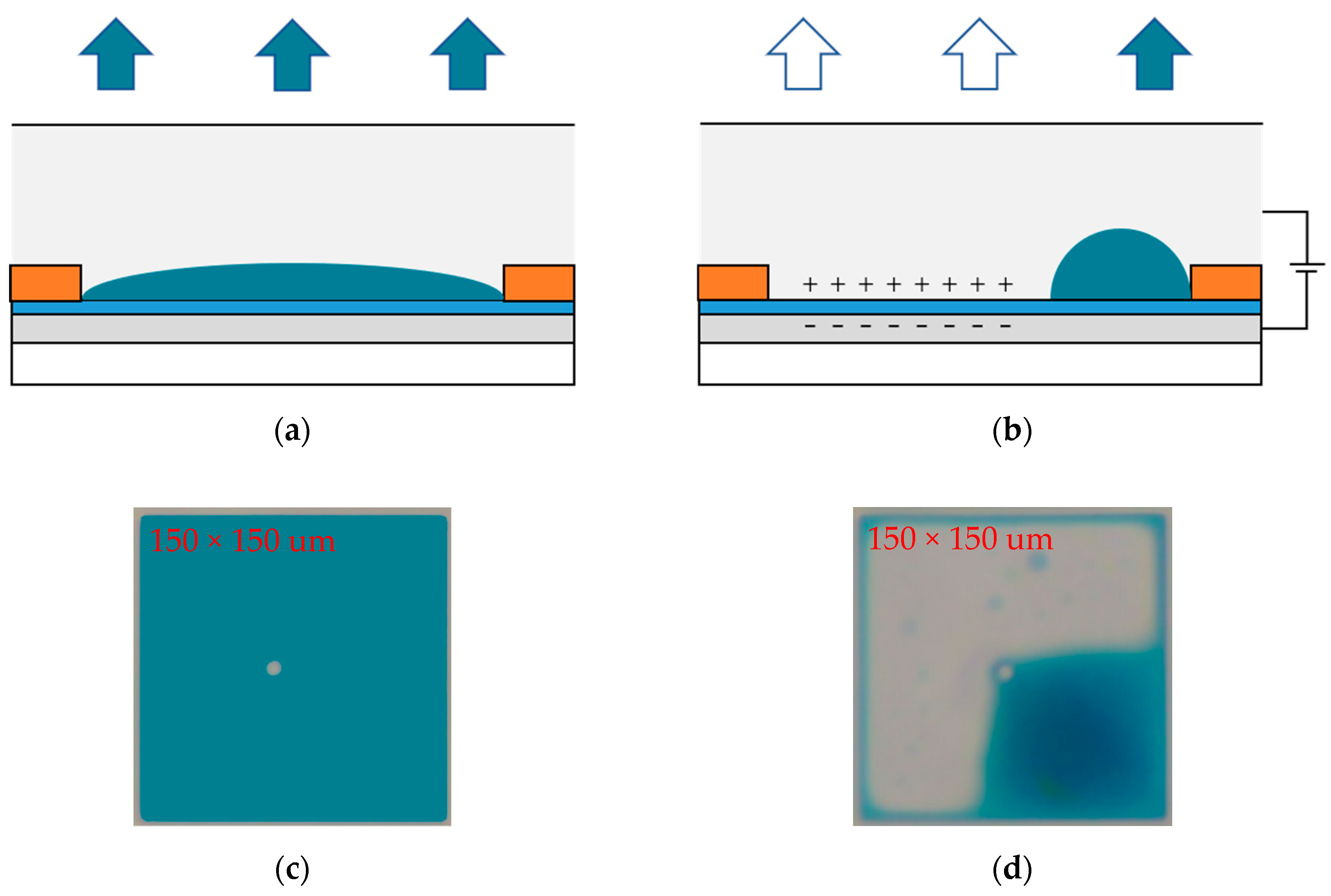 Micromachines 11 00145 g001 Micromachines 11 00145 g001
