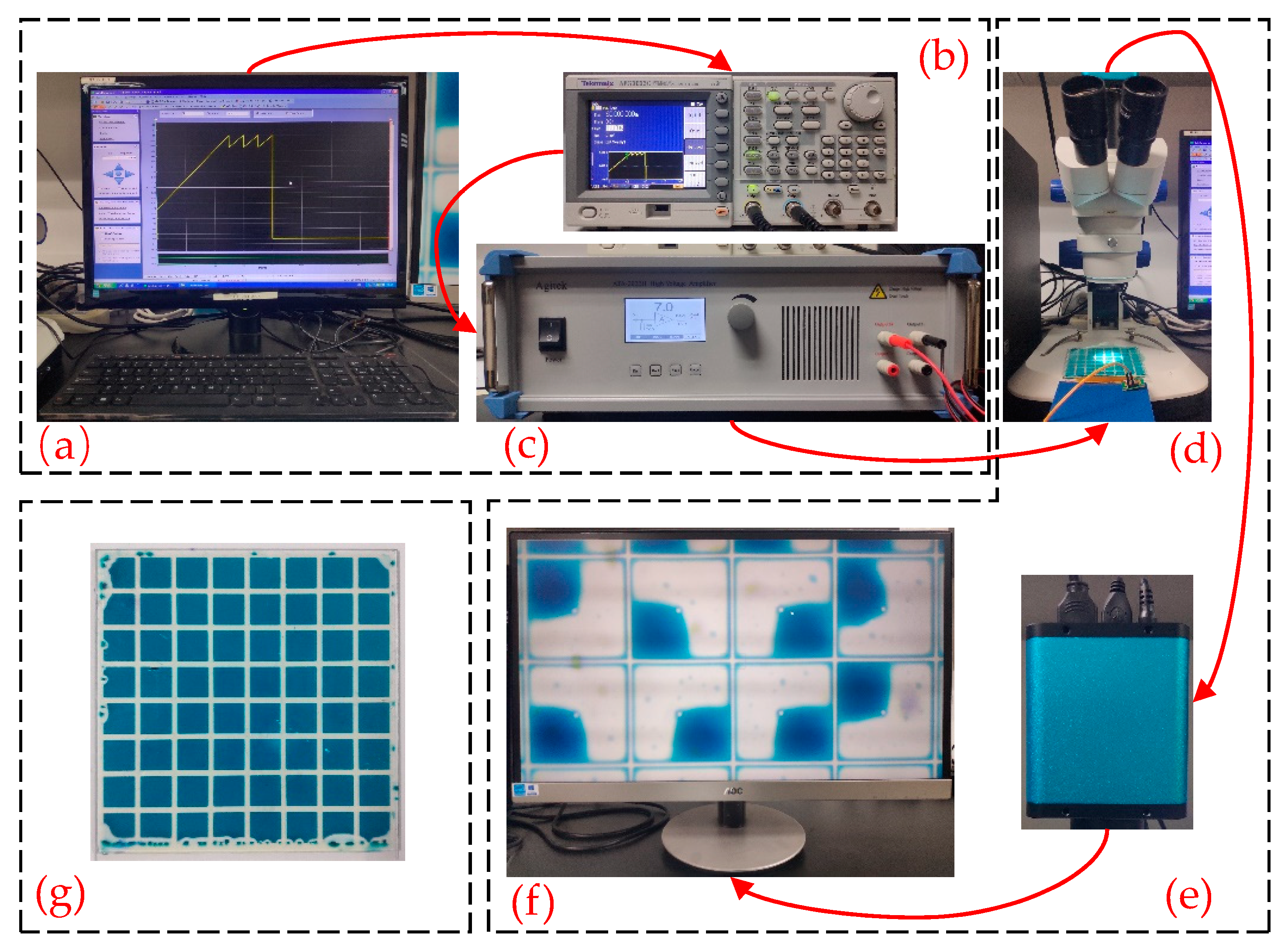 Micromachines 11 00145 g007 Micromachines 11 00145 g007