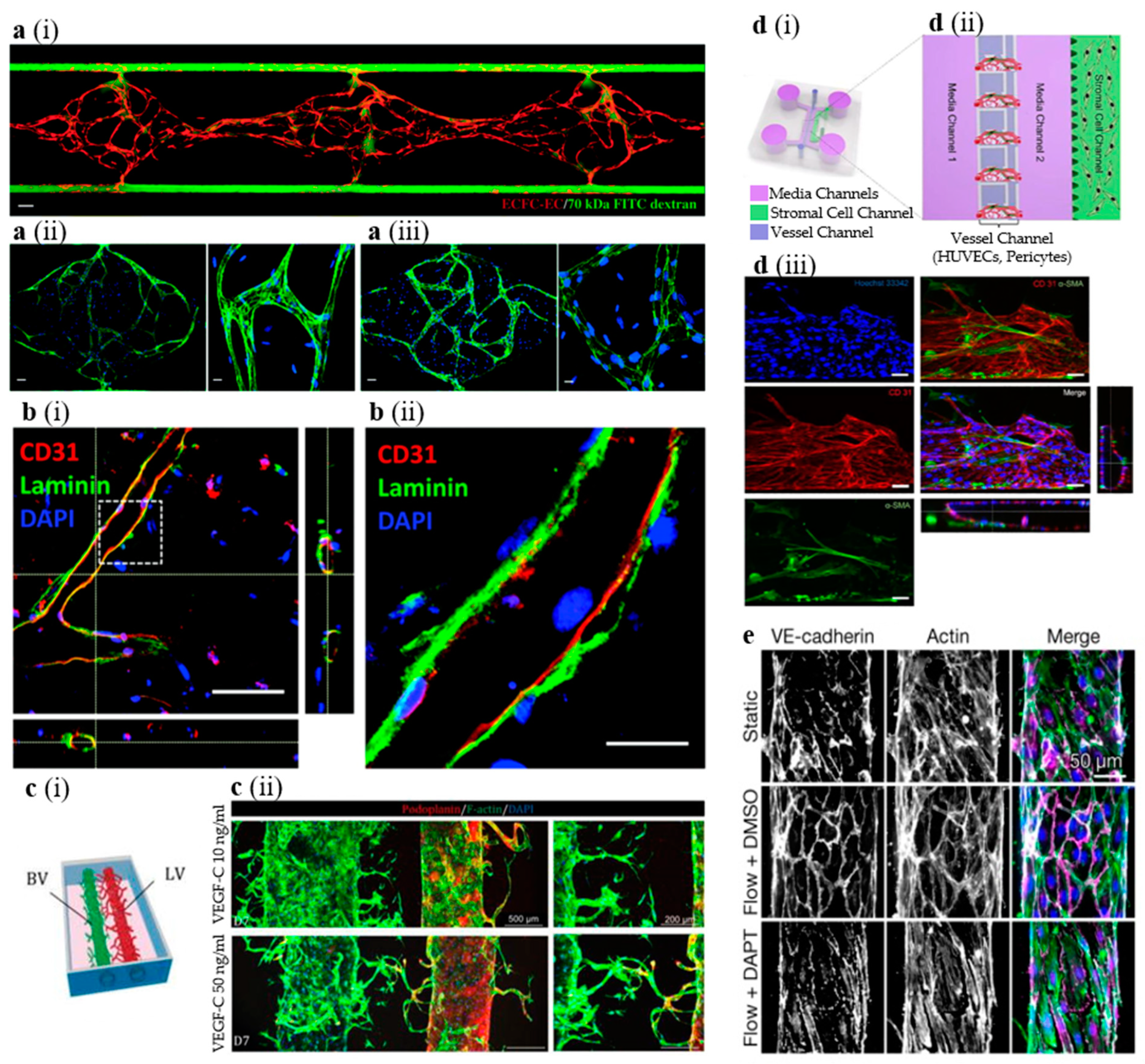 Micromachines 11 00147 g002 Micromachines 11 00147 g002