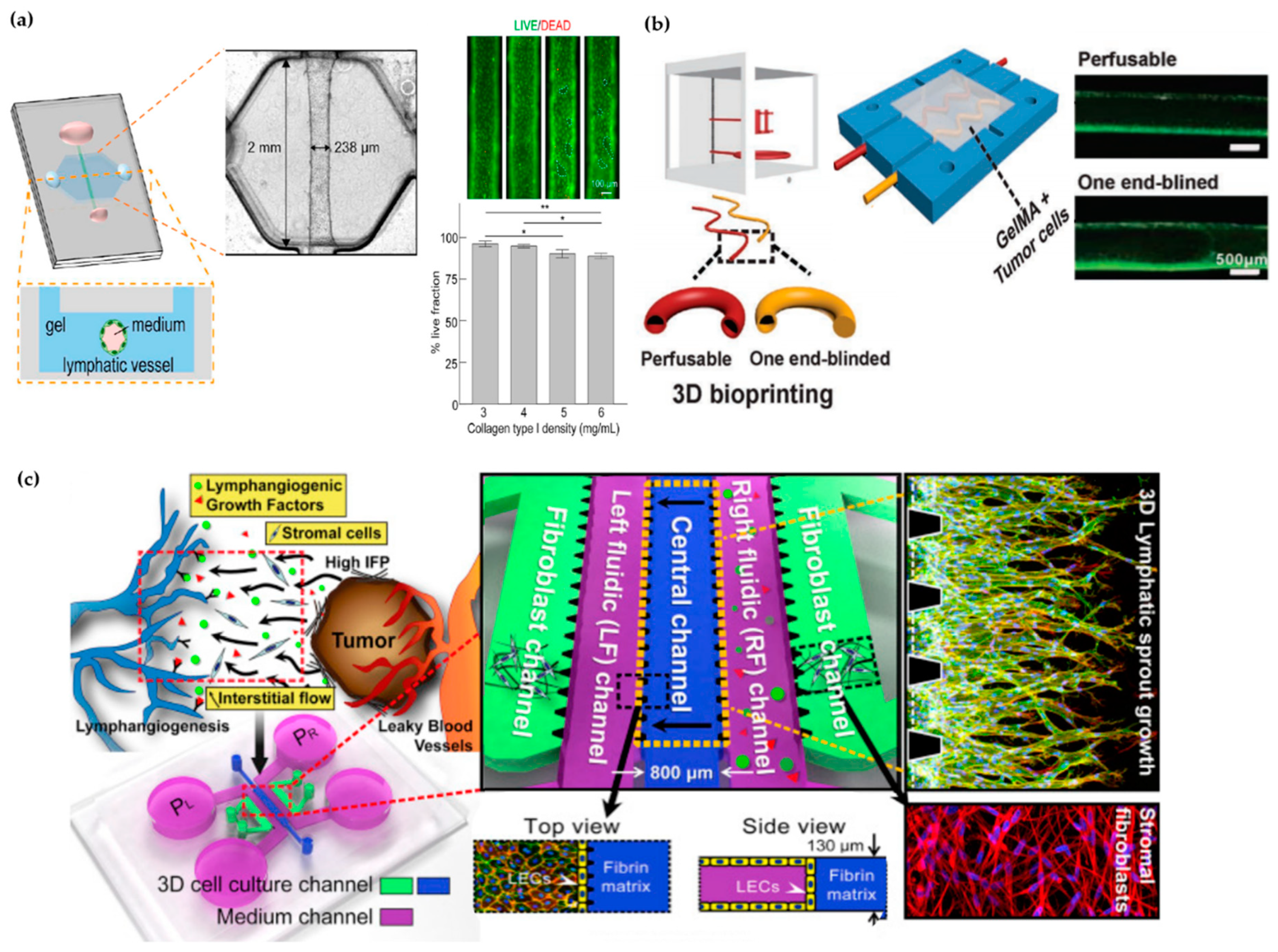 Micromachines 11 00147 g003 Micromachines 11 00147 g003
