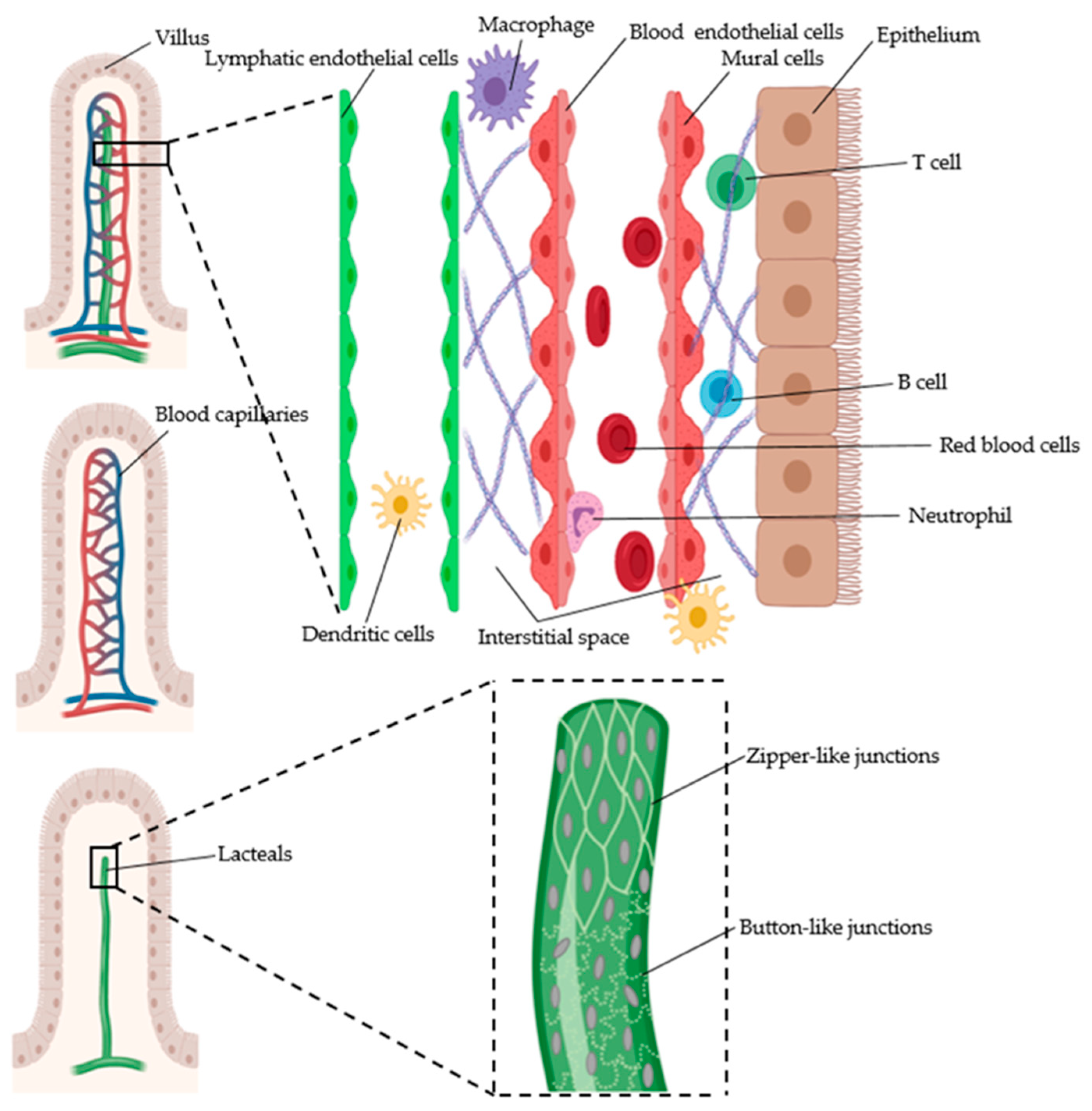 Micromachines 11 00147 g004 Micromachines 11 00147 g004
