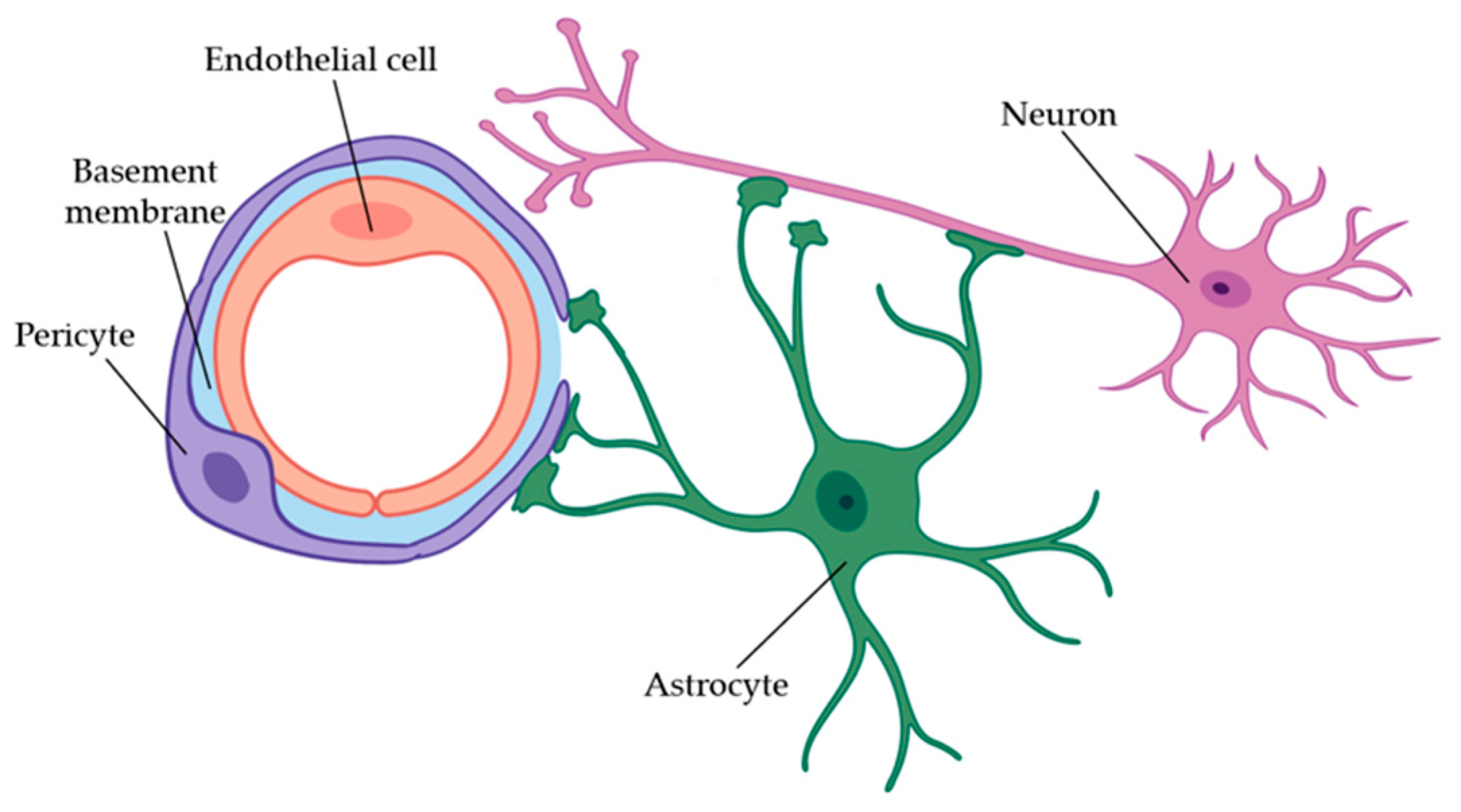 Micromachines 11 00147 g006 Micromachines 11 00147 g006