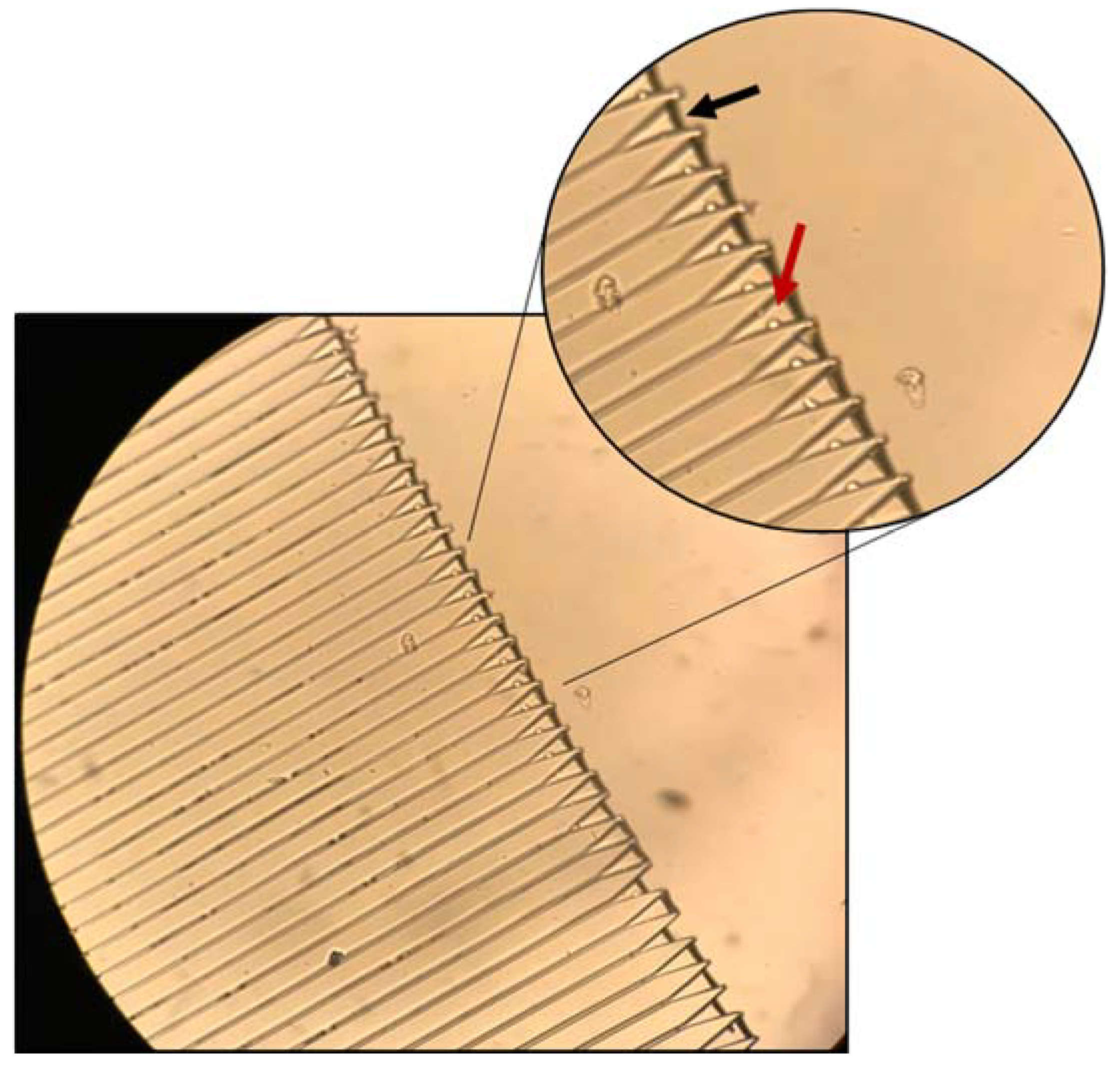 Micromachines 11 00149 g008