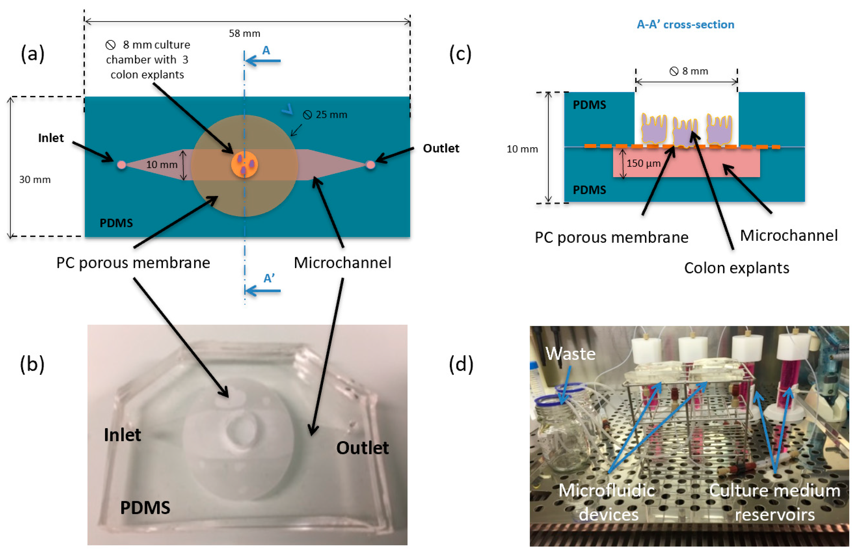 Micromachines 11 00150 g001 Micromachines 11 00150 g001
