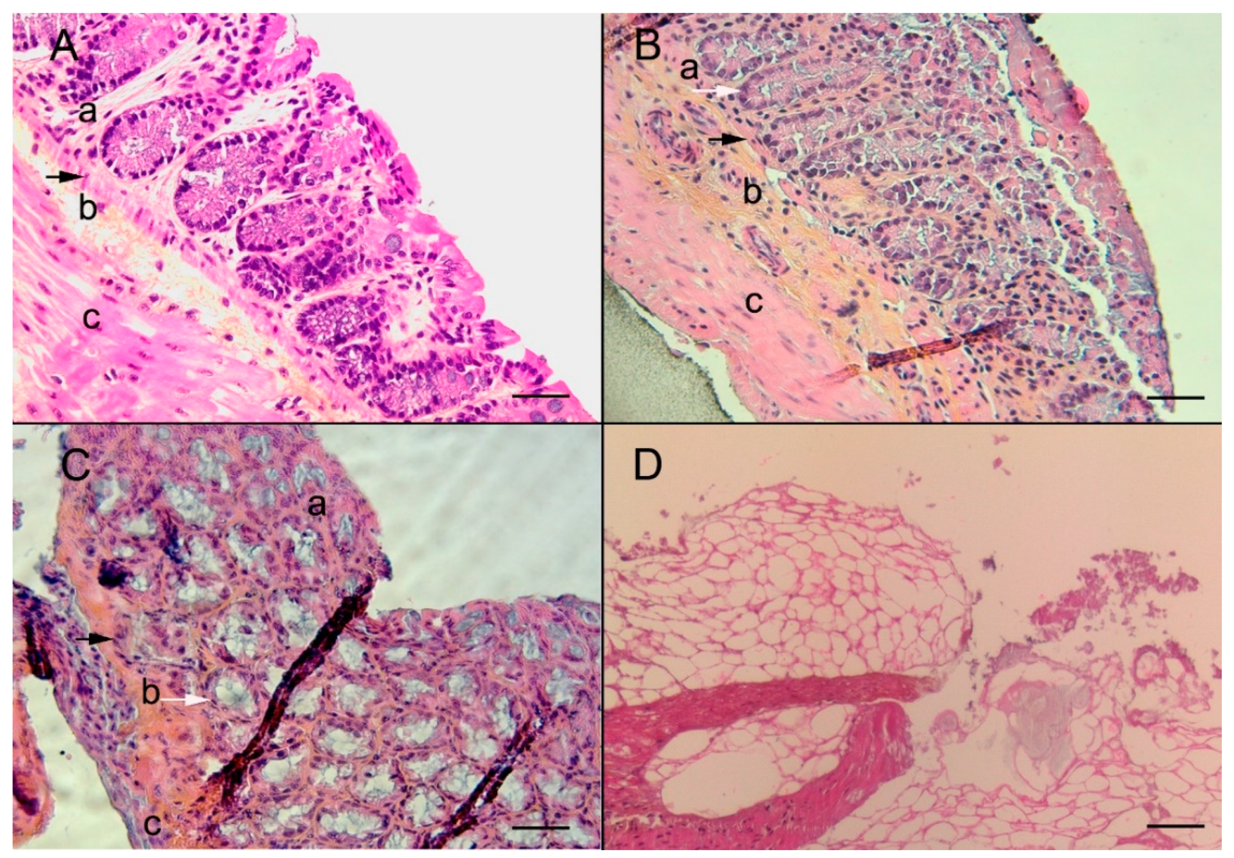 Micromachines 11 00150 g002 Micromachines 11 00150 g002