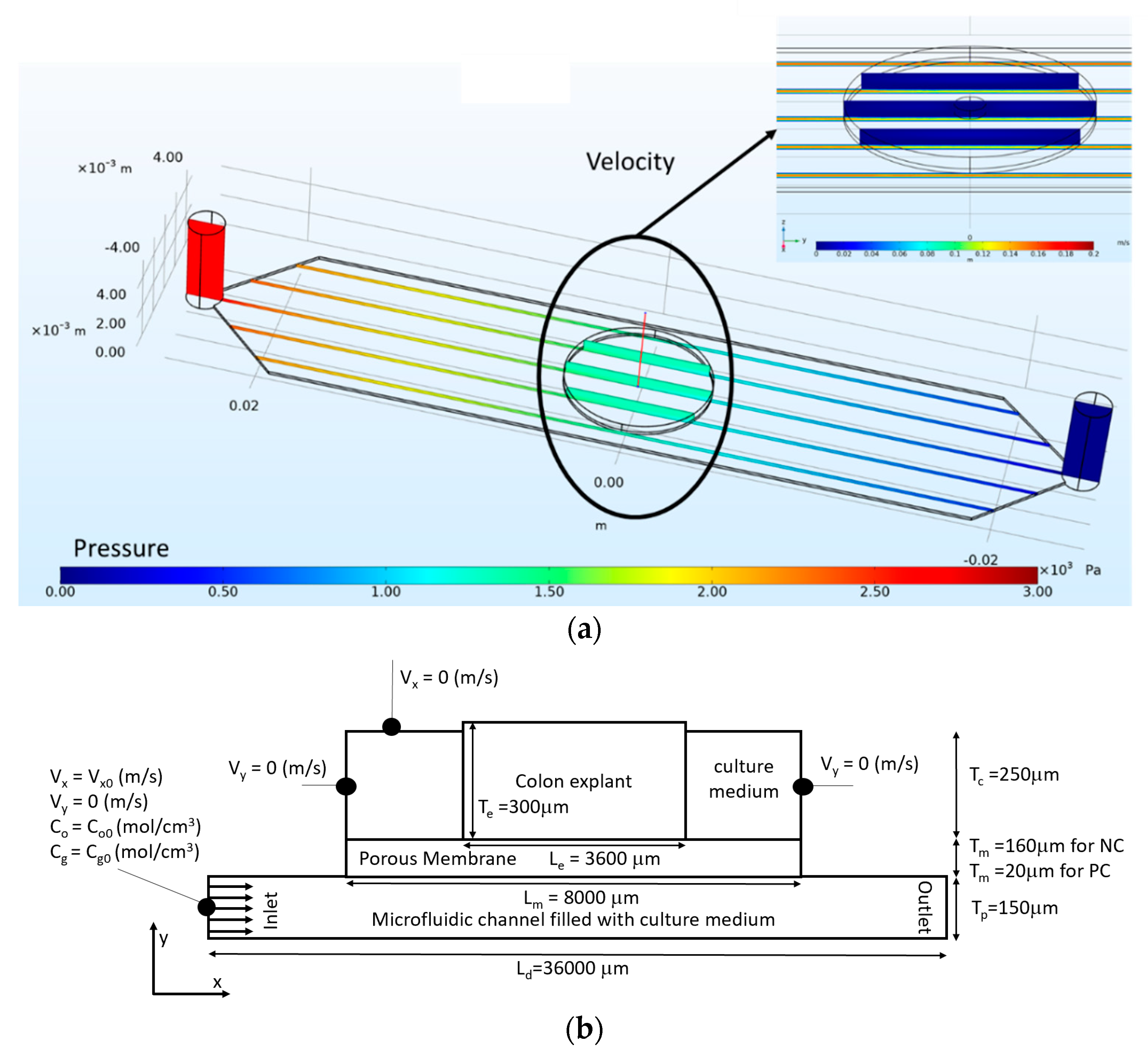 Micromachines 11 00150 g003 Micromachines 11 00150 g003