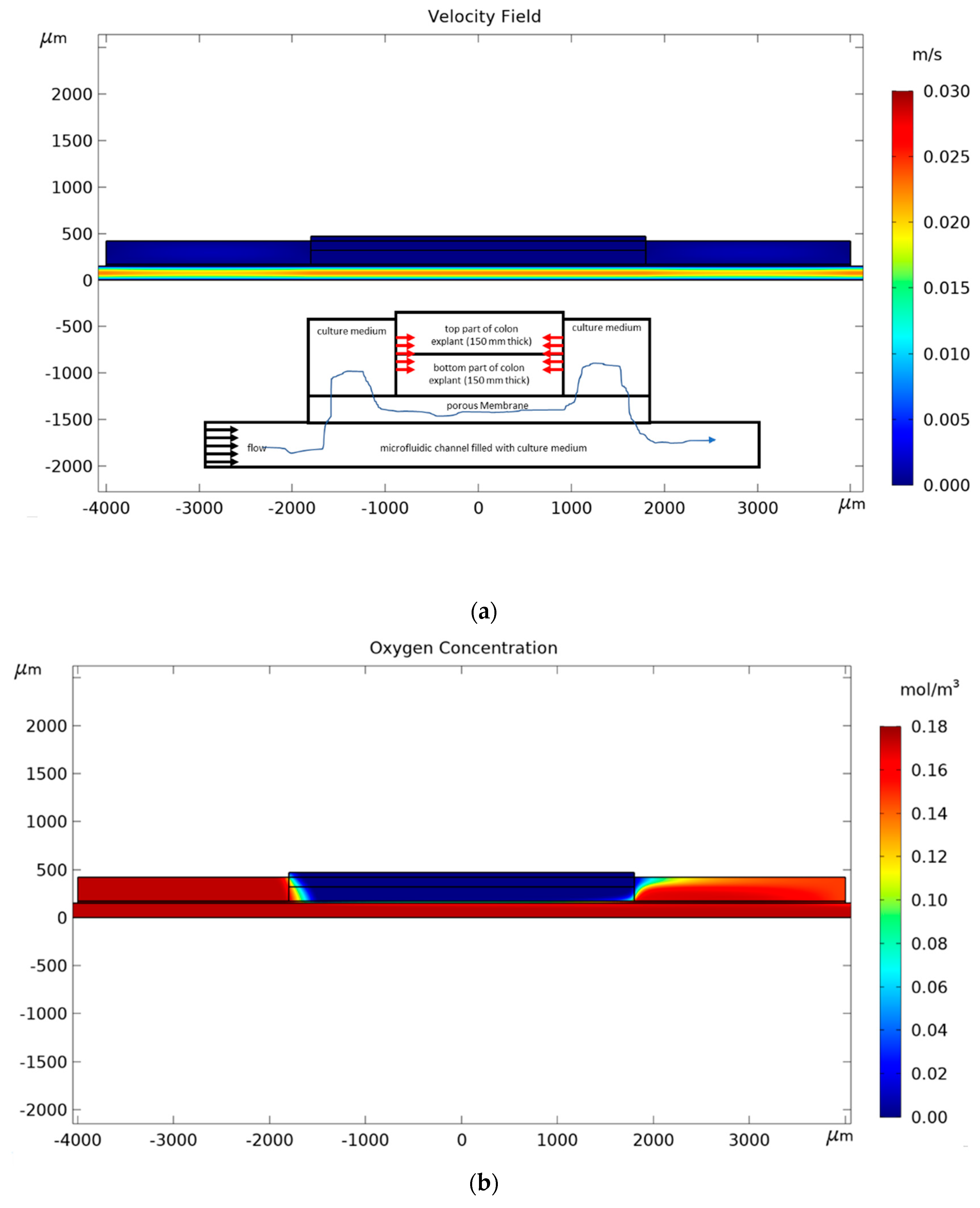 Micromachines 11 00150 g005a Micromachines 11 00150 g005a