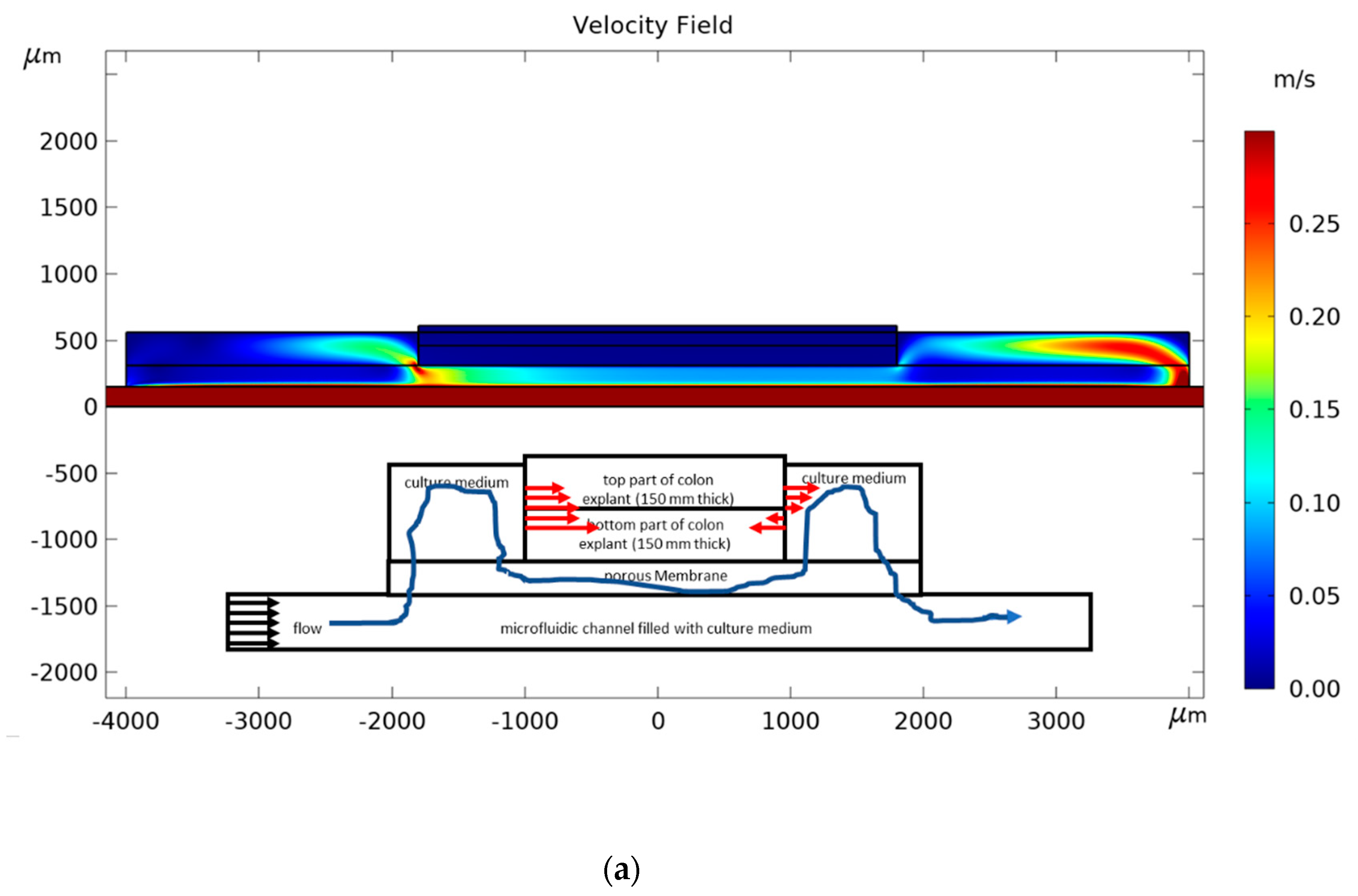 Micromachines 11 00150 g006a Micromachines 11 00150 g006a