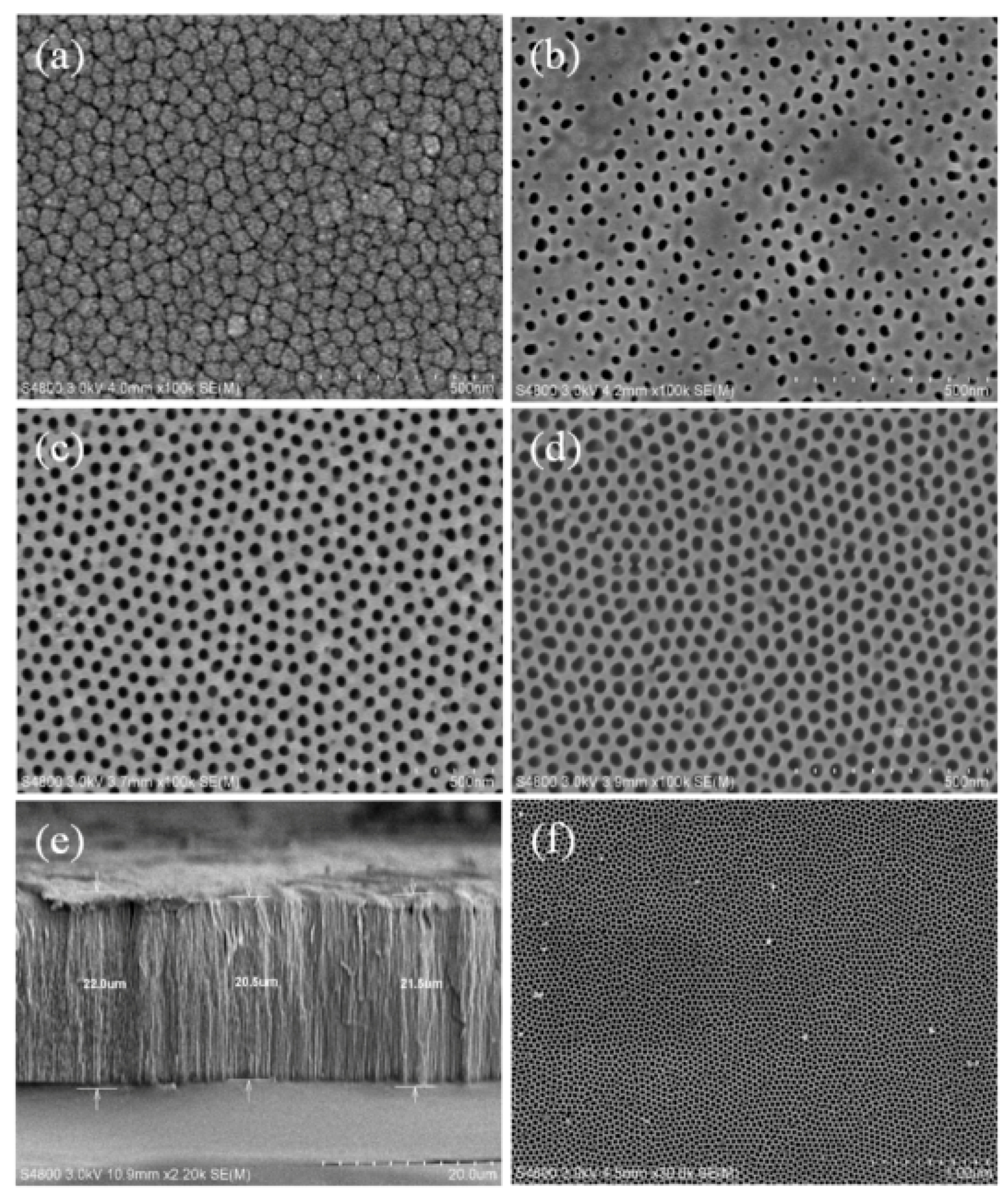 Micromachines 11 00153 g004 Micromachines 11 00153 g004