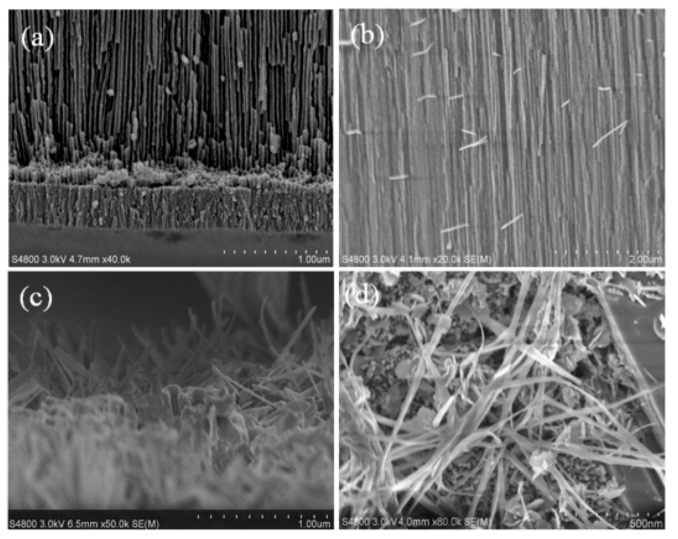 Micromachines 11 00153 g005 Micromachines 11 00153 g005