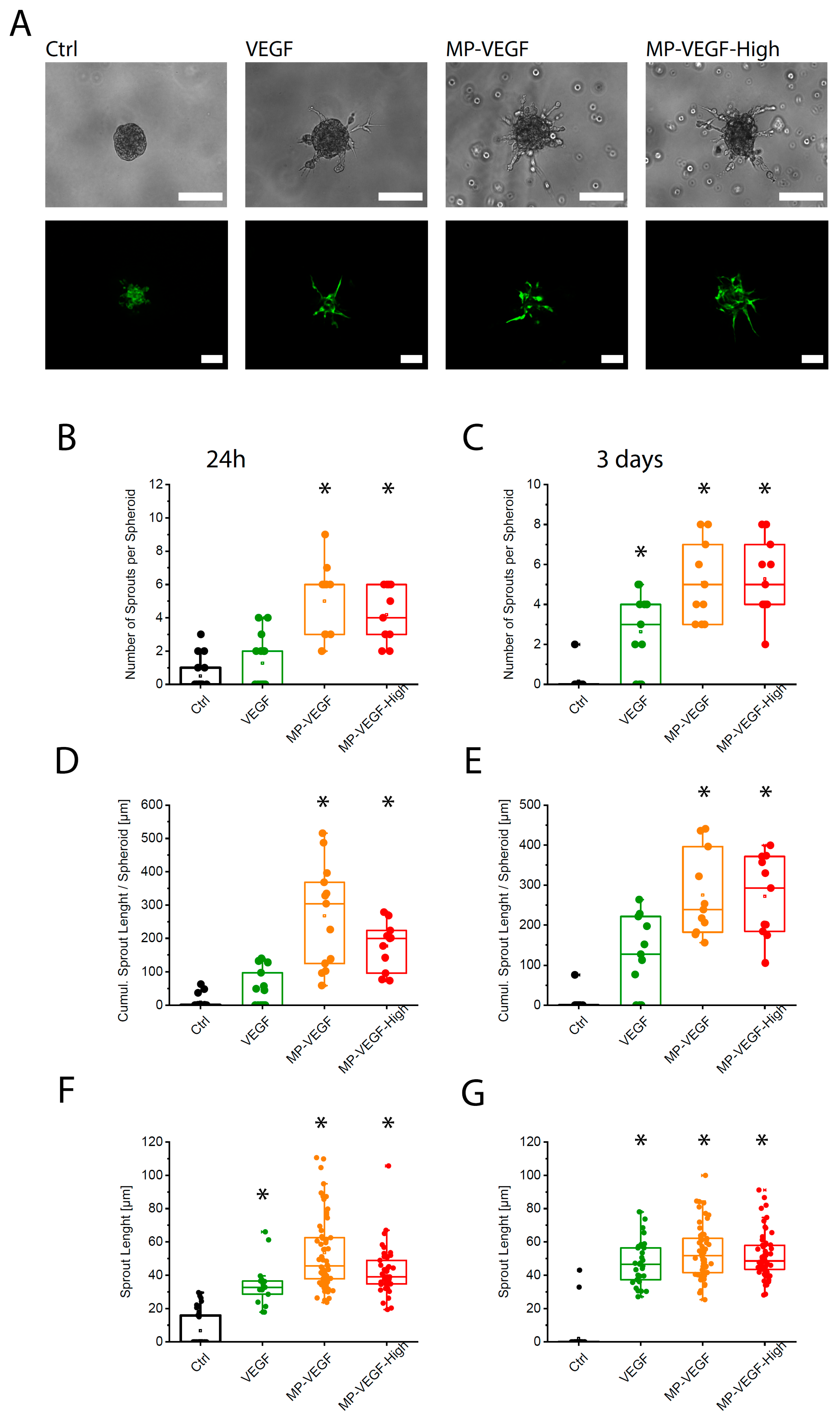 Micromachines 11 00158 g004