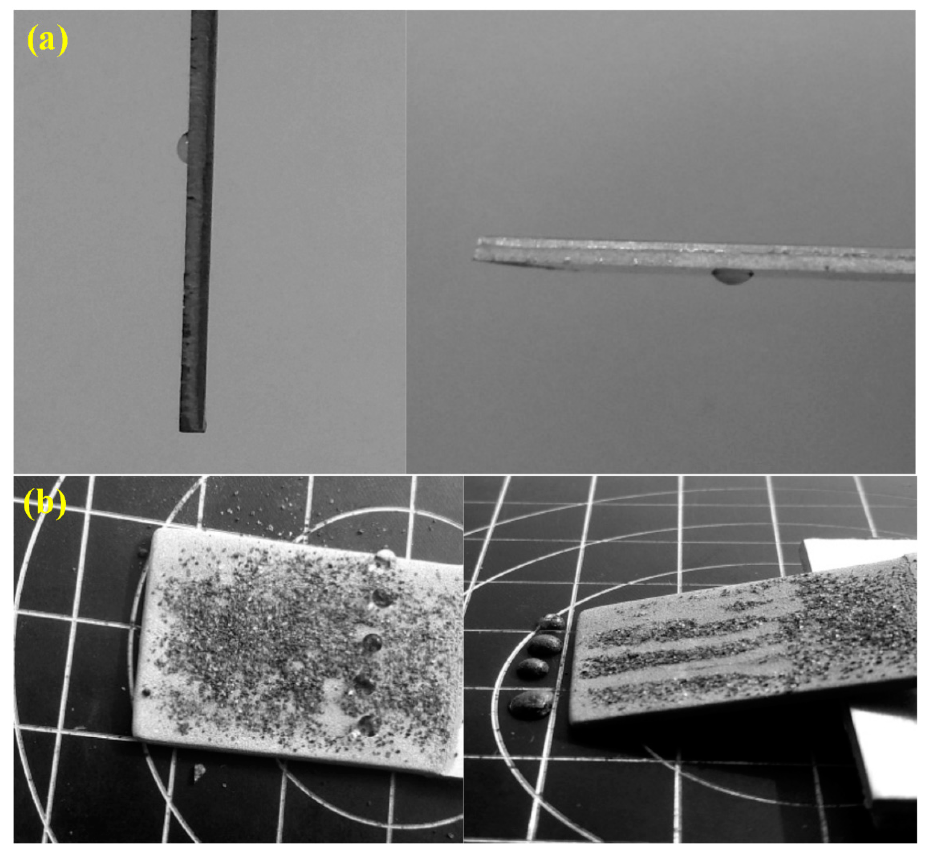 Micromachines 11 00159 g004 Micromachines 11 00159 g004