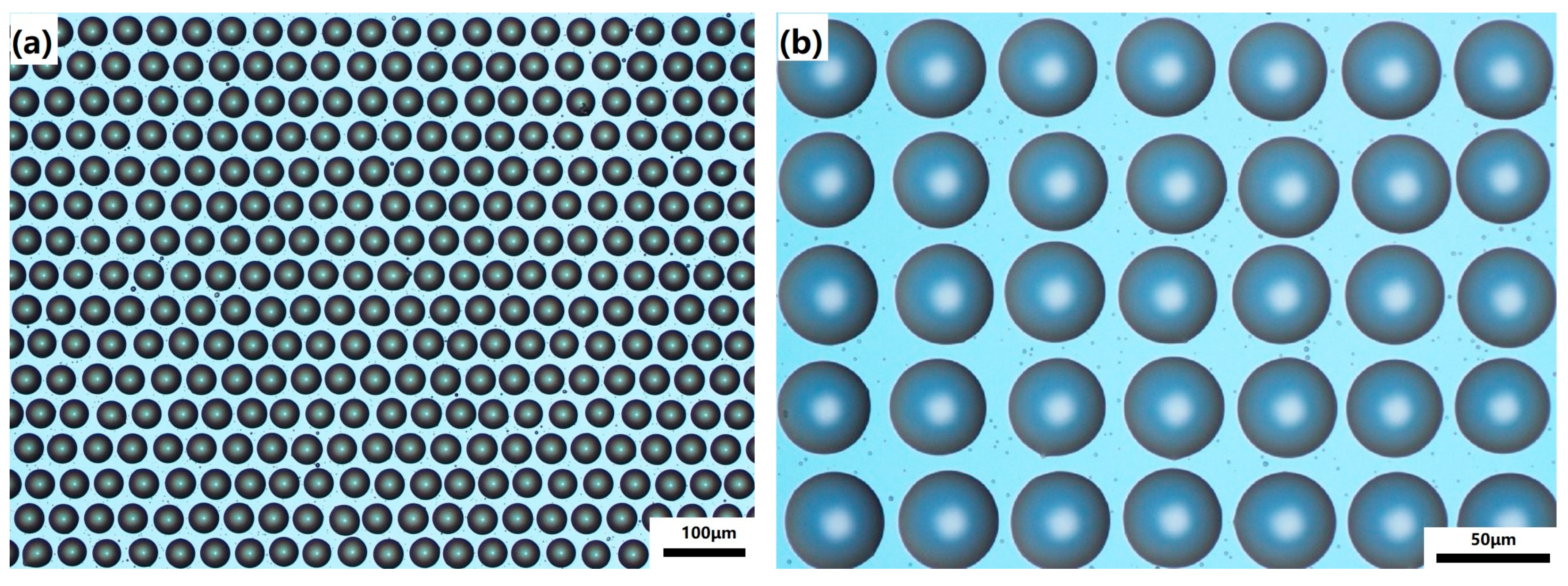 Micromachines 11 00161 g006