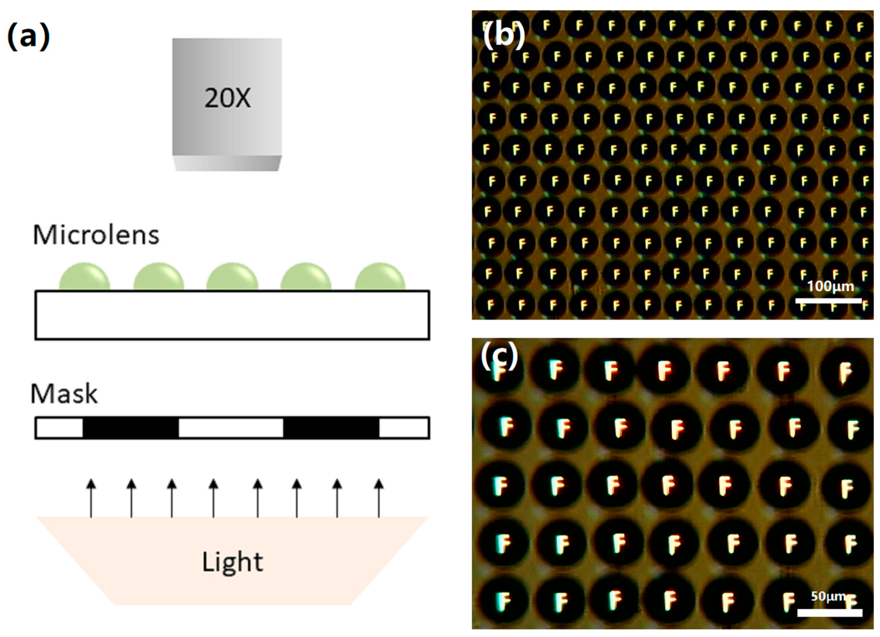 Micromachines 11 00161 g008