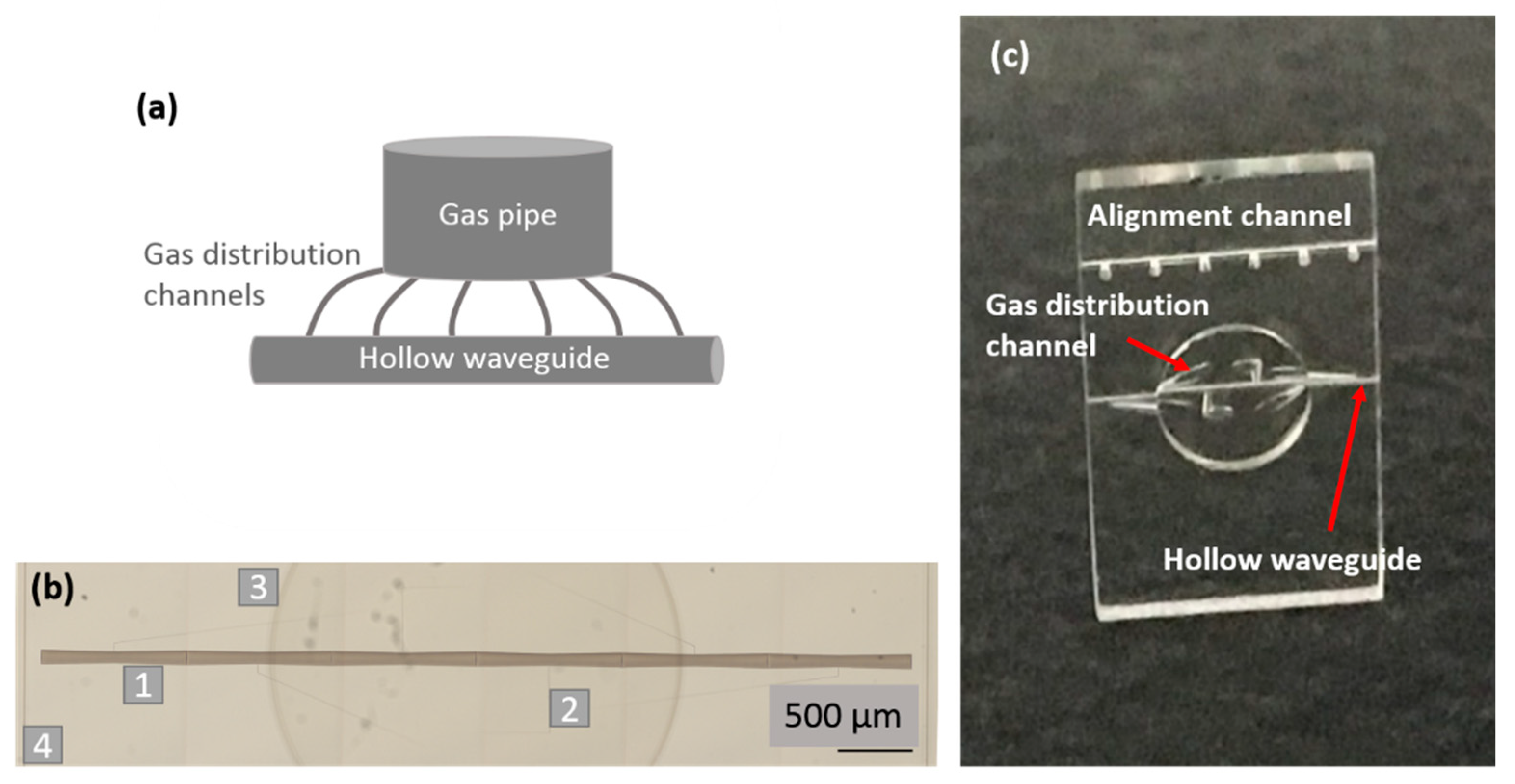 Micromachines 11 00165 g003
