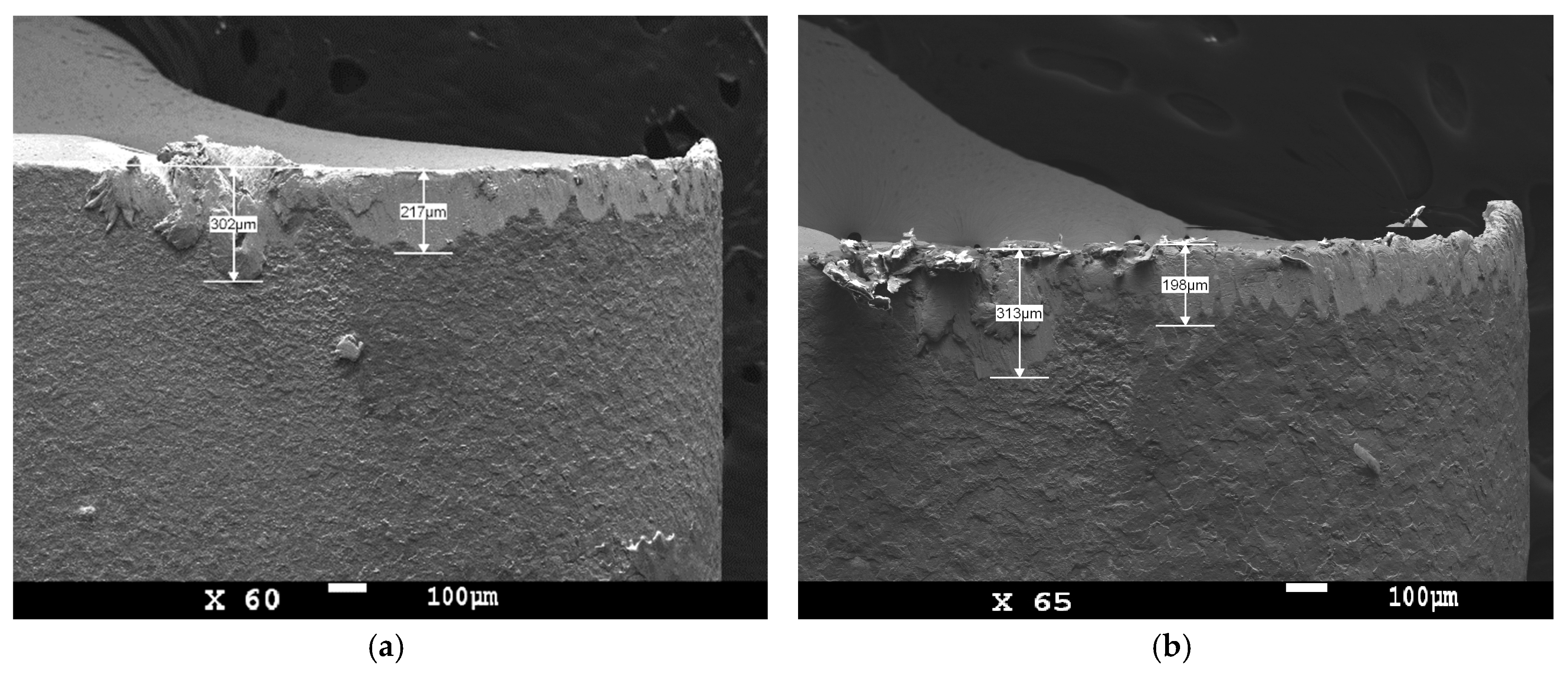 Micromachines 11 00166 g012 Micromachines 11 00166 g012