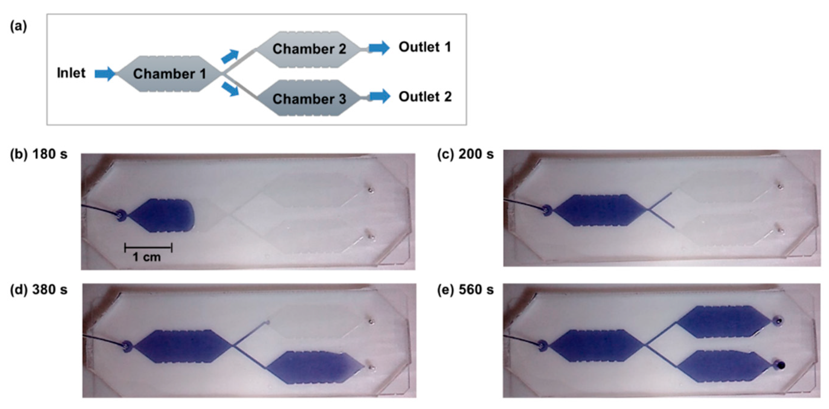 Micromachines 11 00167 g004