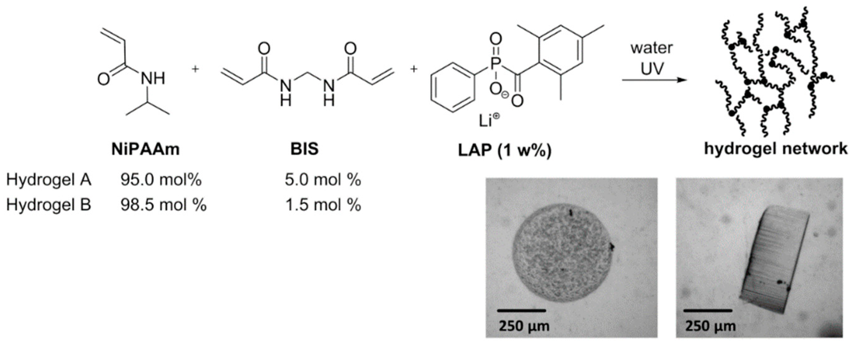 Micromachines 11 00167 g005