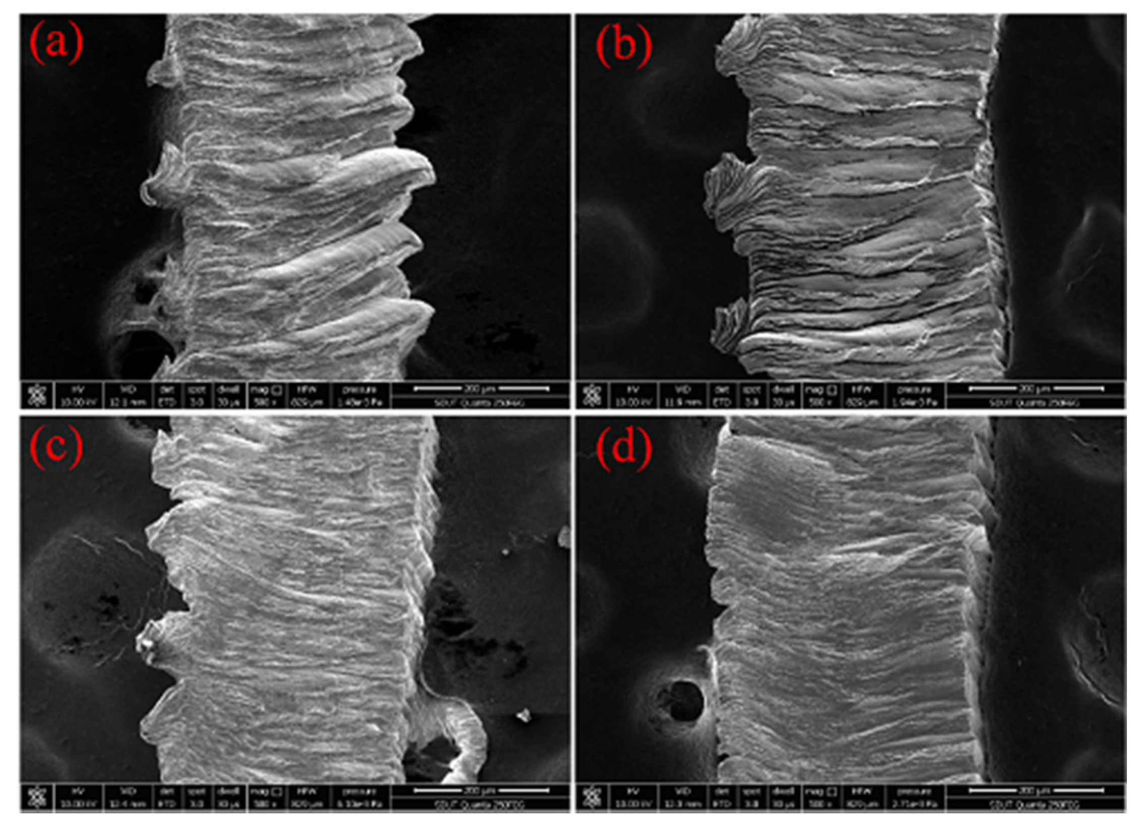 Micromachines 11 00168 g007 Micromachines 11 00168 g007