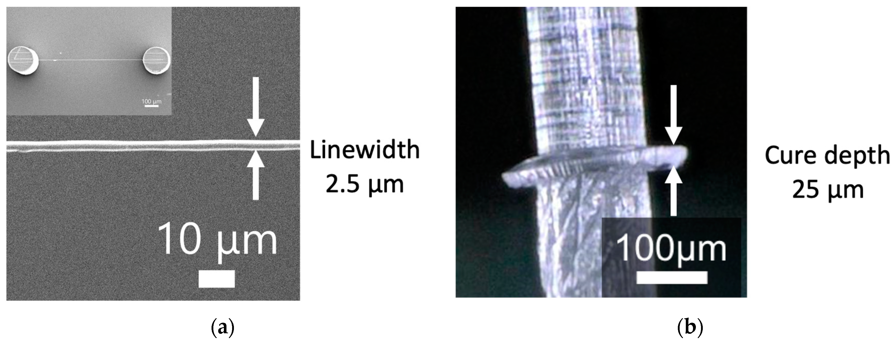 Micromachines 11 00174 g004 Micromachines 11 00174 g004