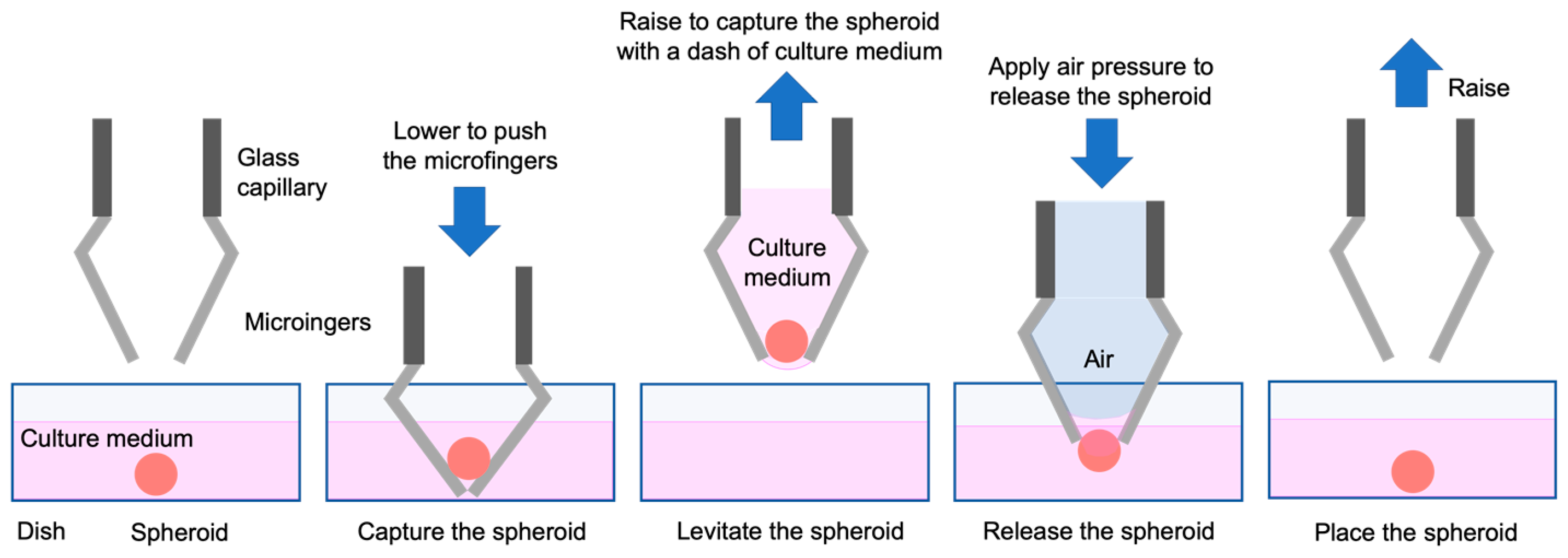 Micromachines 11 00174 g008 Micromachines 11 00174 g008