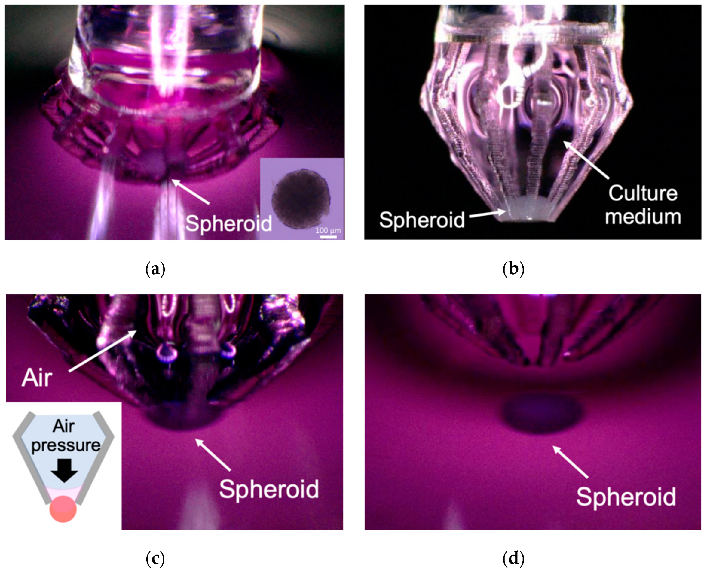 Micromachines 11 00174 g009 Micromachines 11 00174 g009