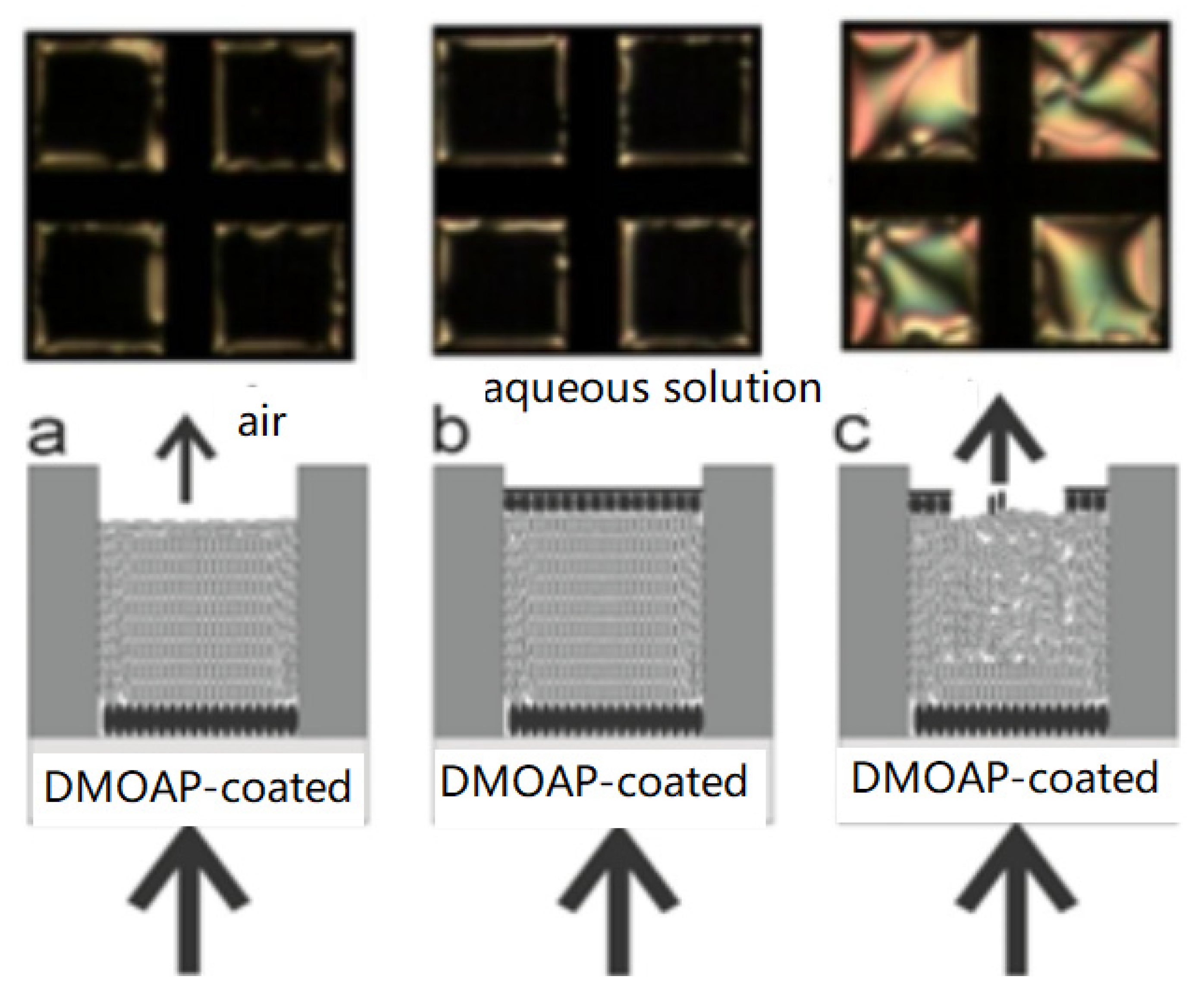 Micromachines 11 00176 g005