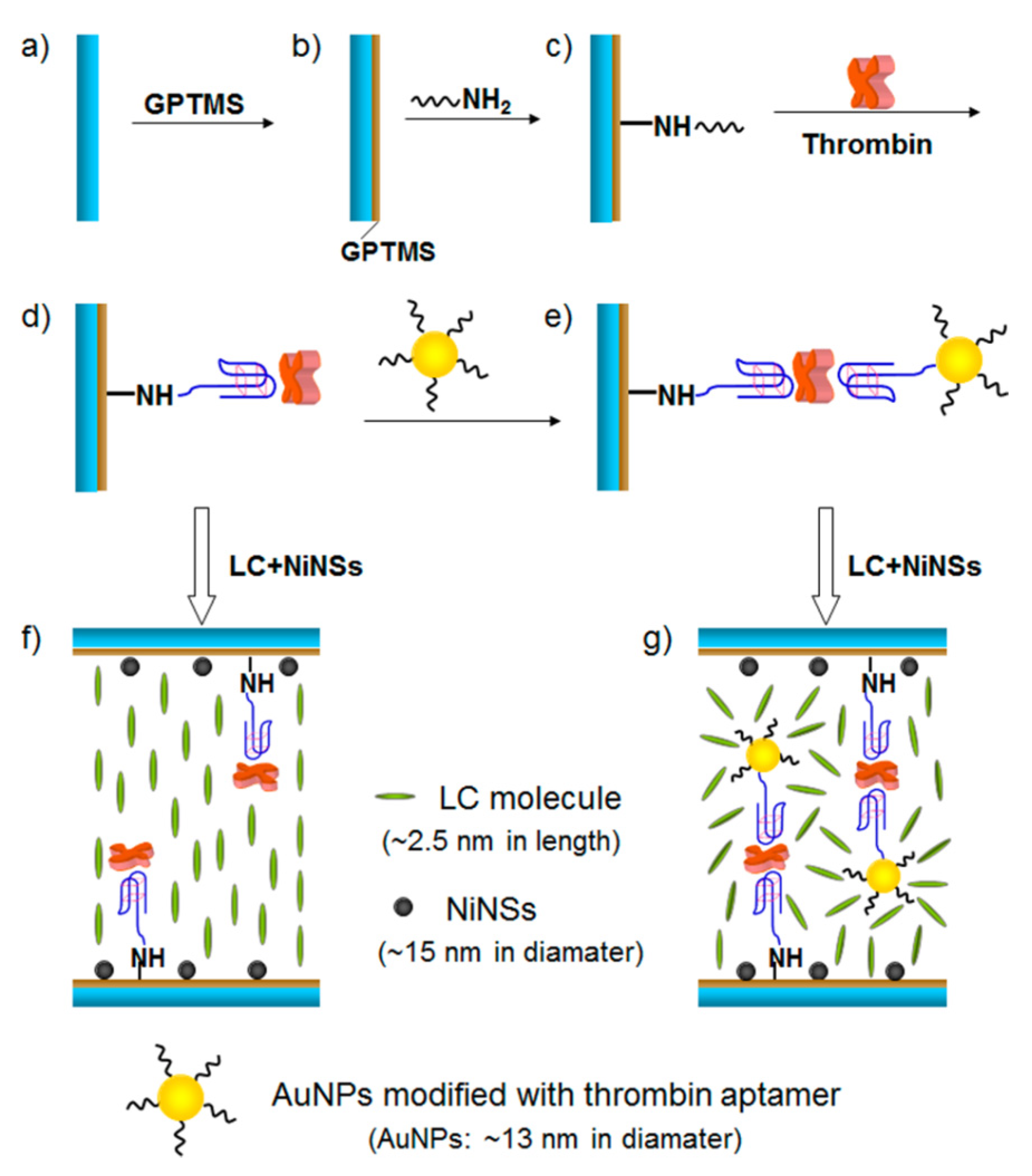 Micromachines 11 00176 g006