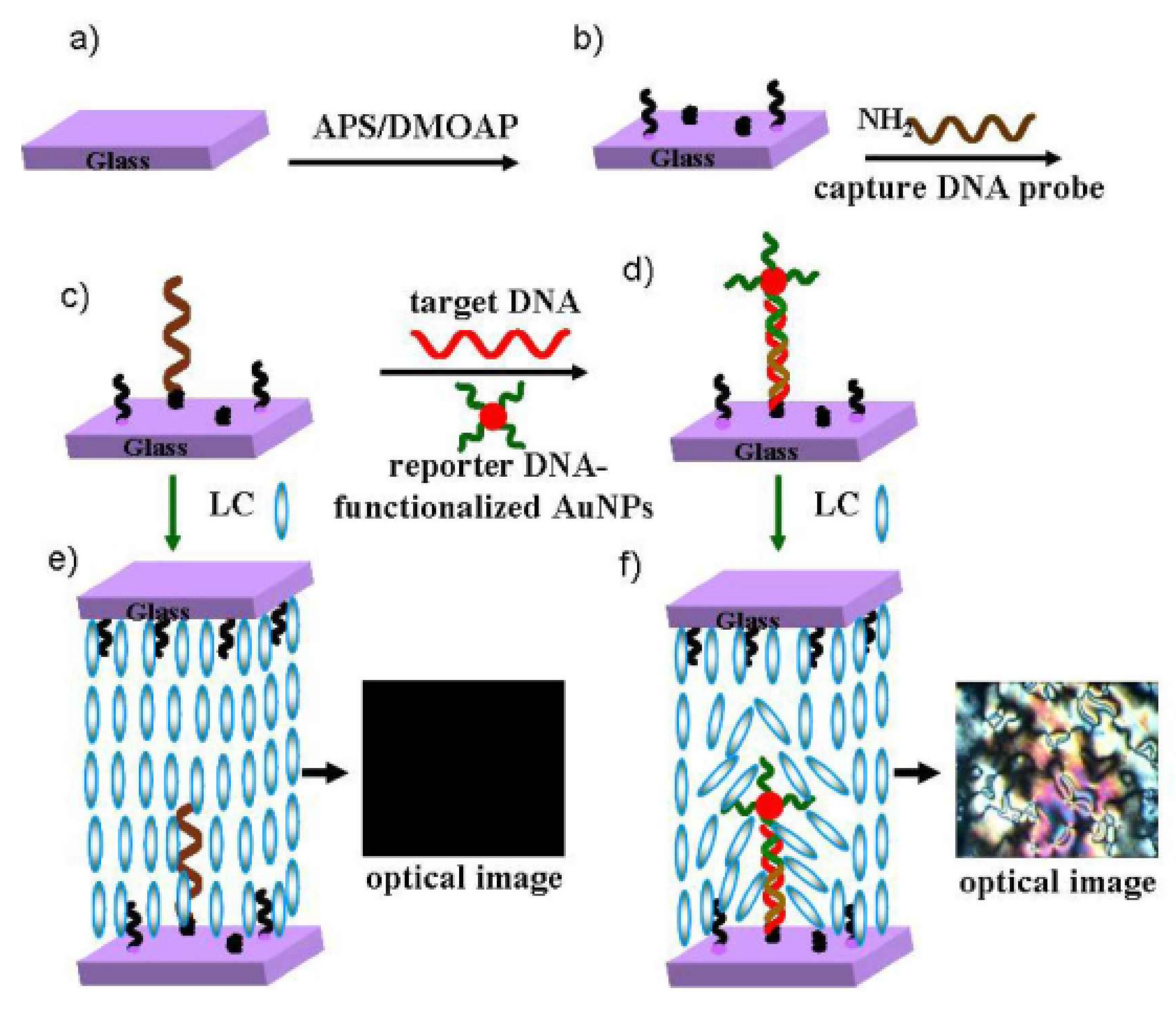 Micromachines 11 00176 g007