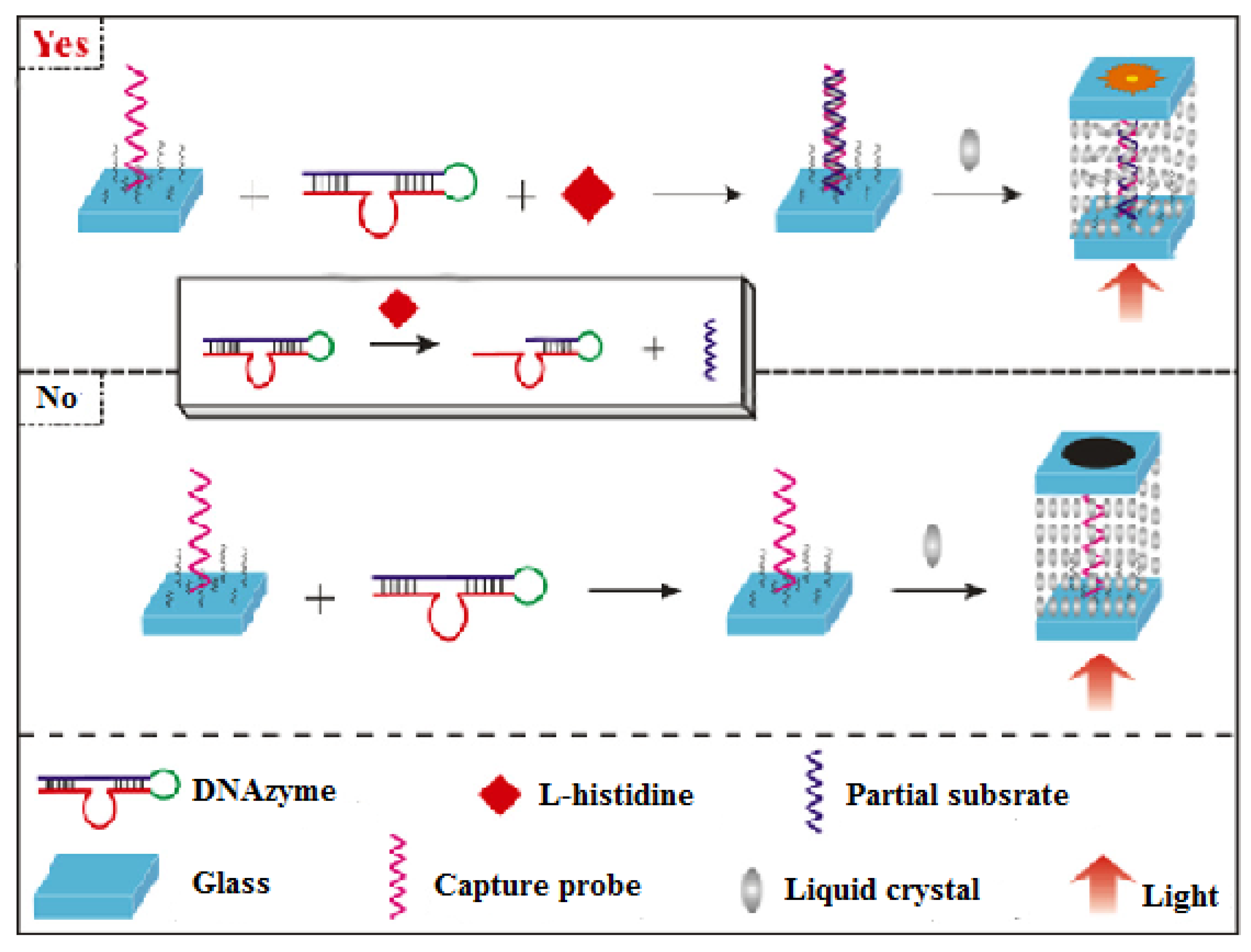 Micromachines 11 00176 g011