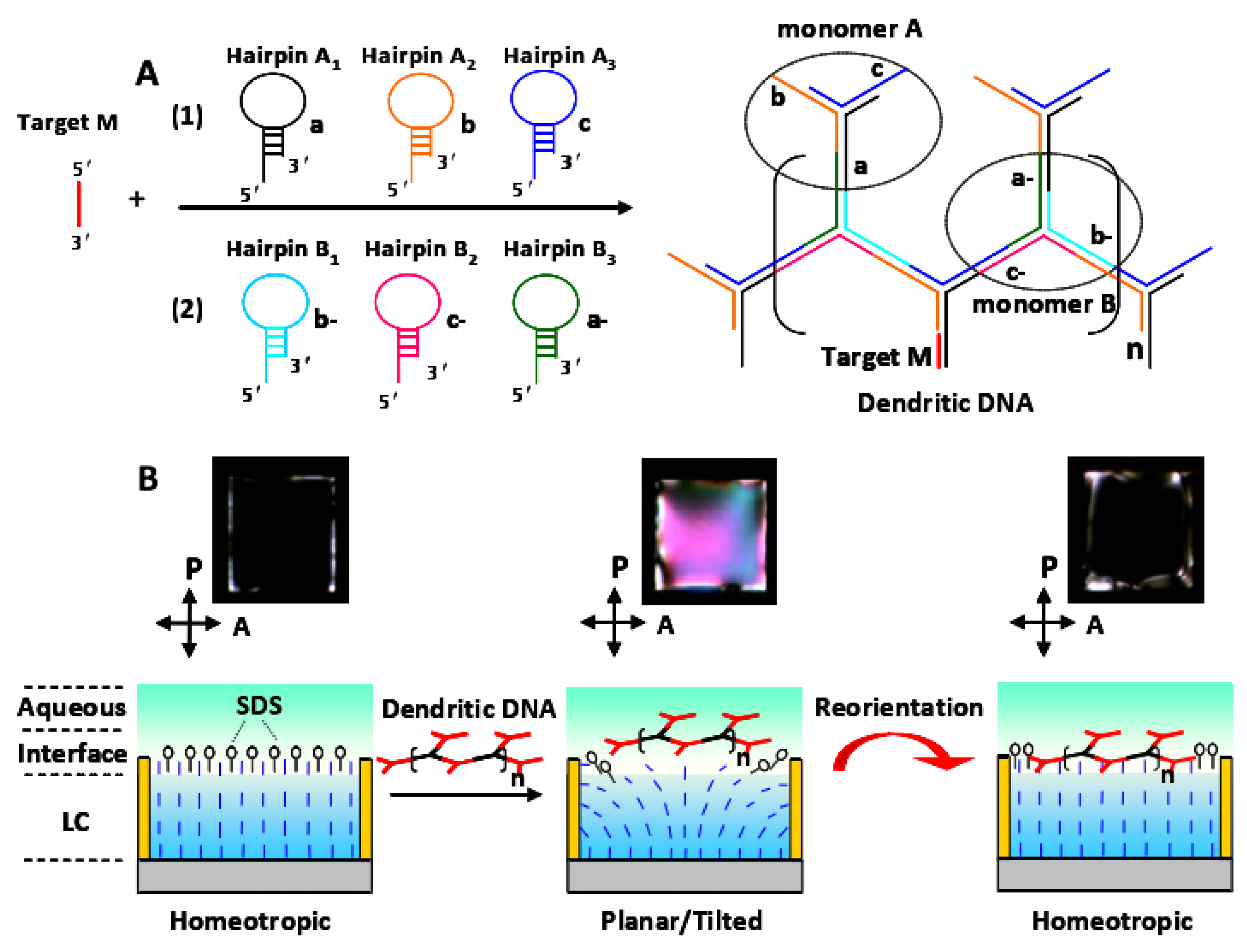 Micromachines 11 00176 g012